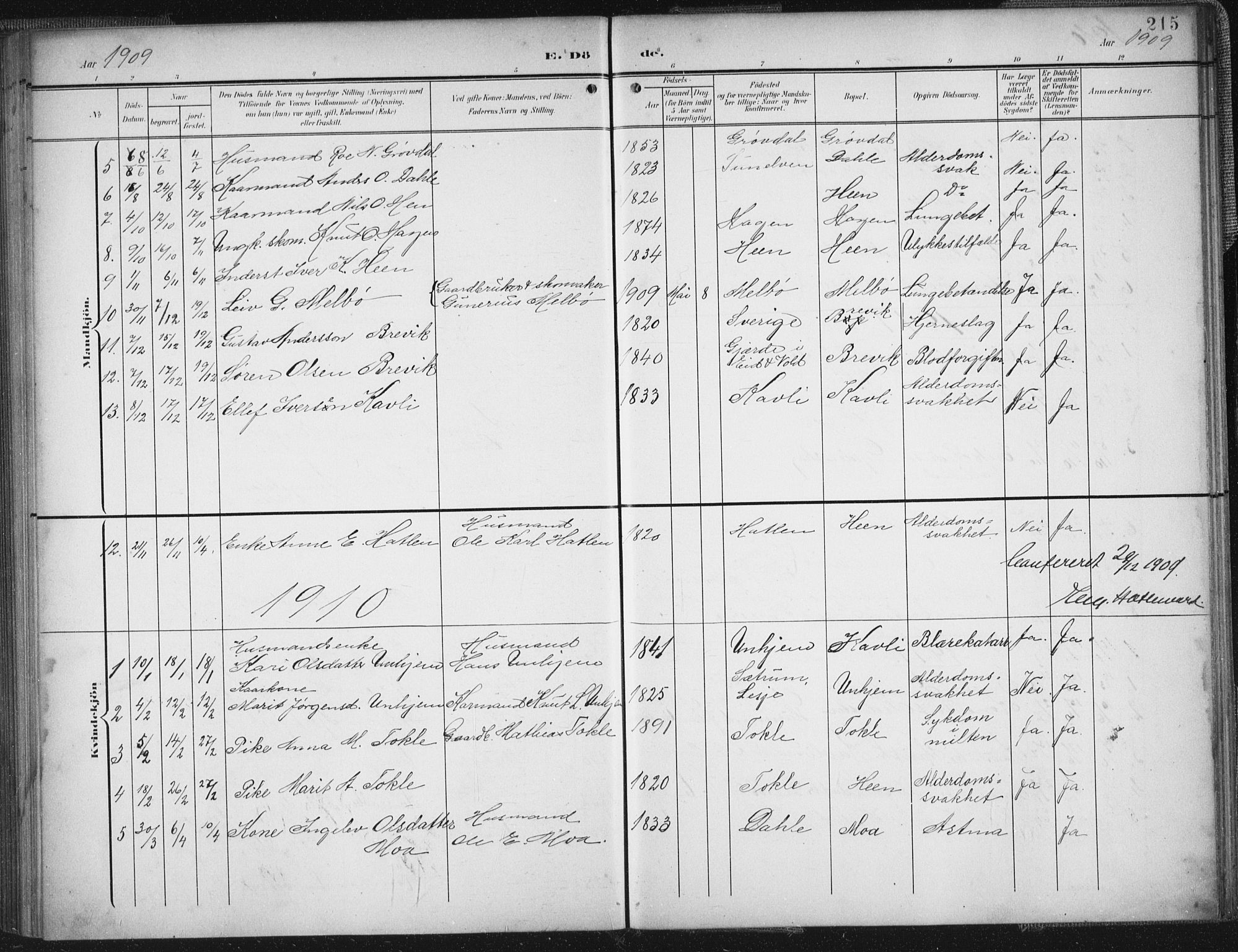Ministerialprotokoller, klokkerbøker og fødselsregistre - Møre og Romsdal, AV/SAT-A-1454/545/L0589: Parish register (copy) no. 545C03, 1902-1937, p. 215