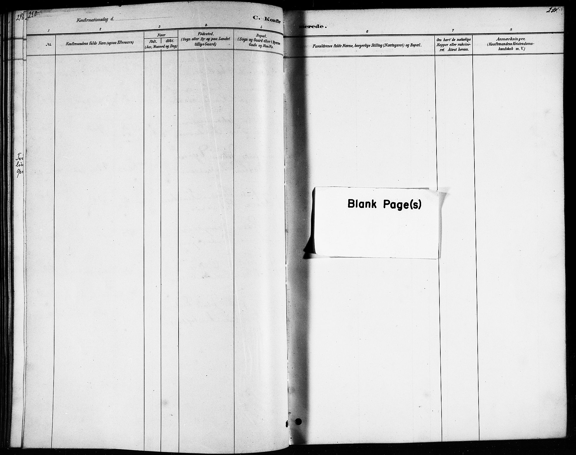 Ministerialprotokoller, klokkerbøker og fødselsregistre - Nordland, AV/SAT-A-1459/807/L0123: Parish register (copy) no. 807C01, 1884-1910, p. 250-251