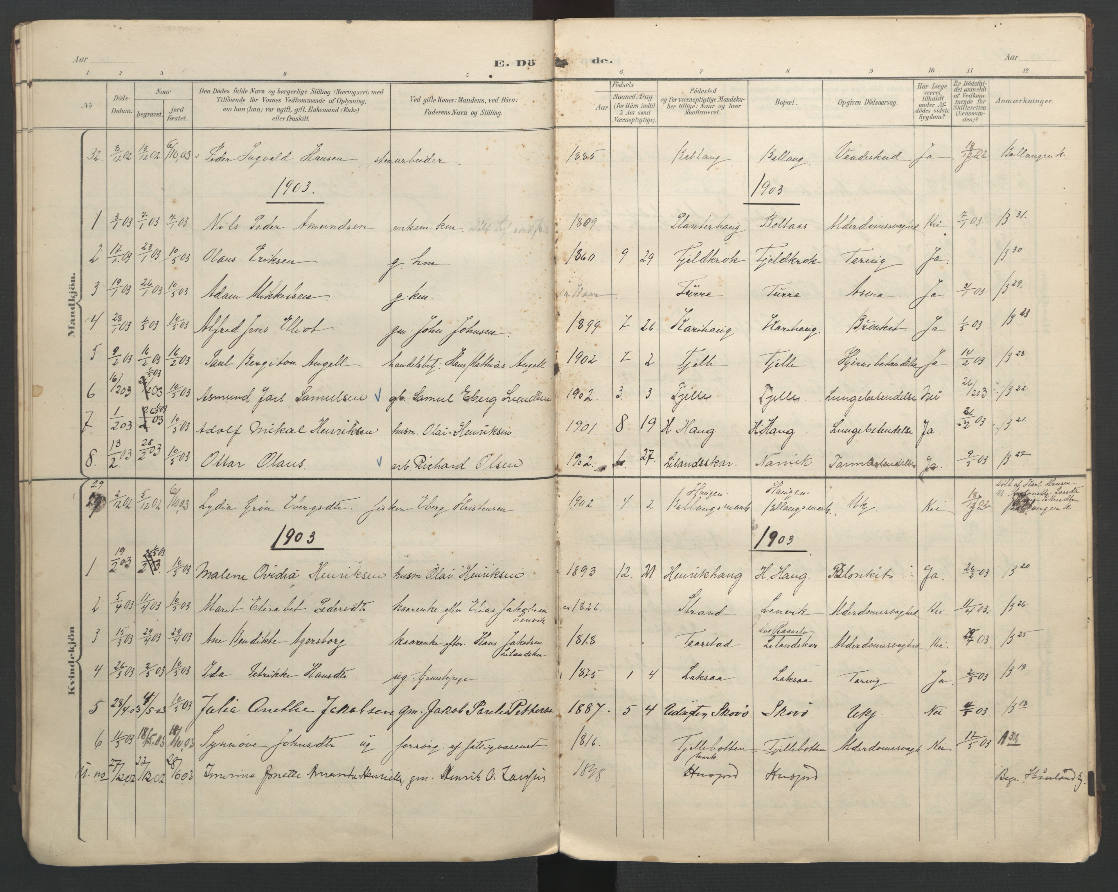 Ministerialprotokoller, klokkerbøker og fødselsregistre - Nordland, AV/SAT-A-1459/863/L0917: Parish register (copy) no. 863C07, 1898-1907