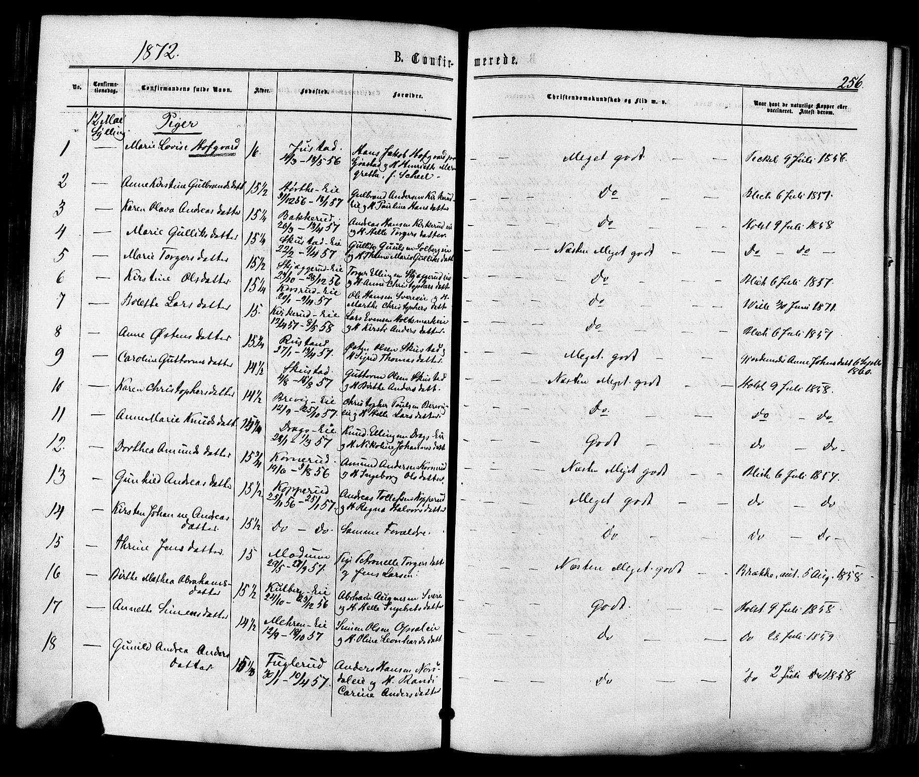 Lier kirkebøker, AV/SAKO-A-230/F/Fa/L0013: Parish register (official) no. I 13, 1865-1874, p. 256