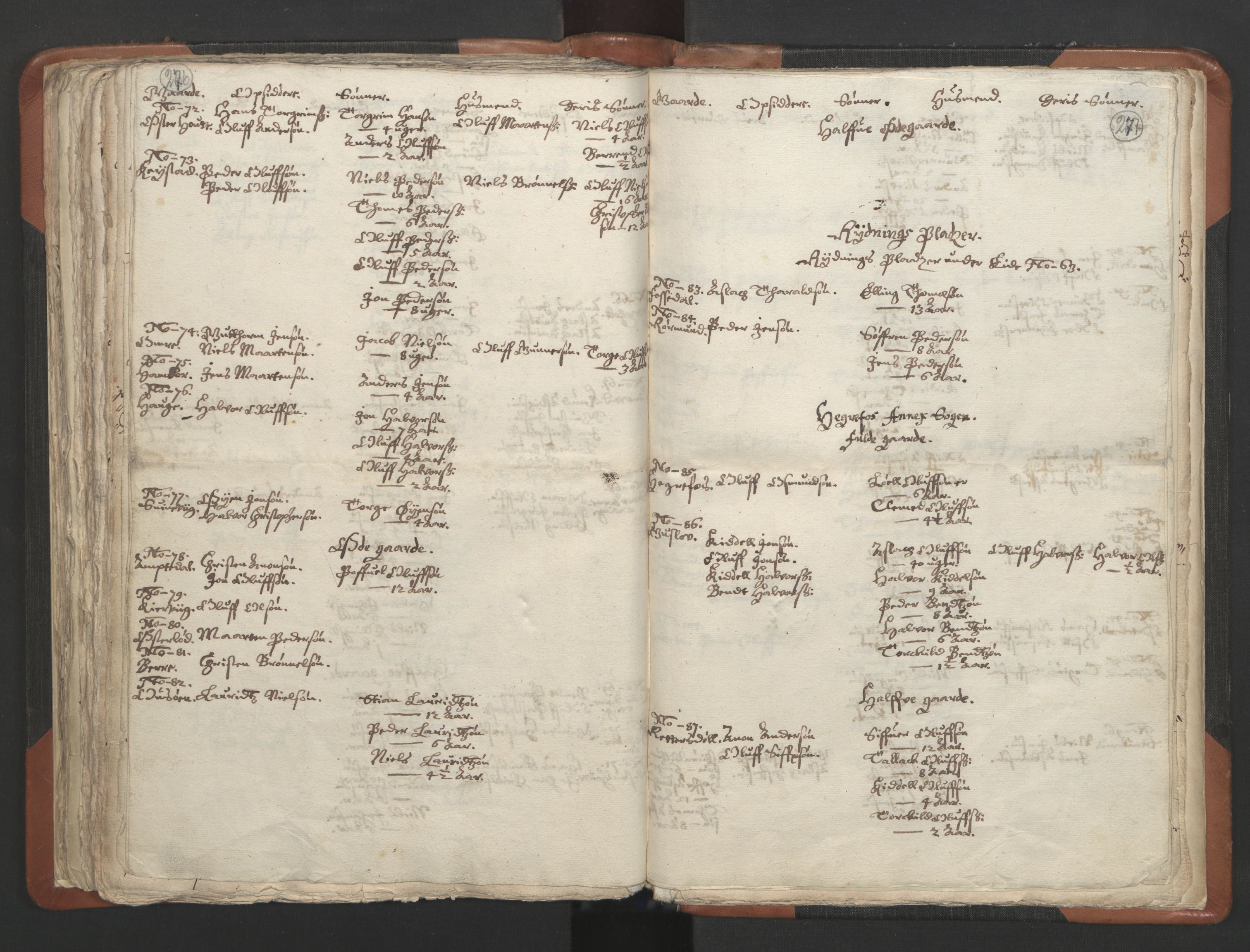 RA, Vicar's Census 1664-1666, no. 13: Nedenes deanery, 1664-1666, p. 276-277
