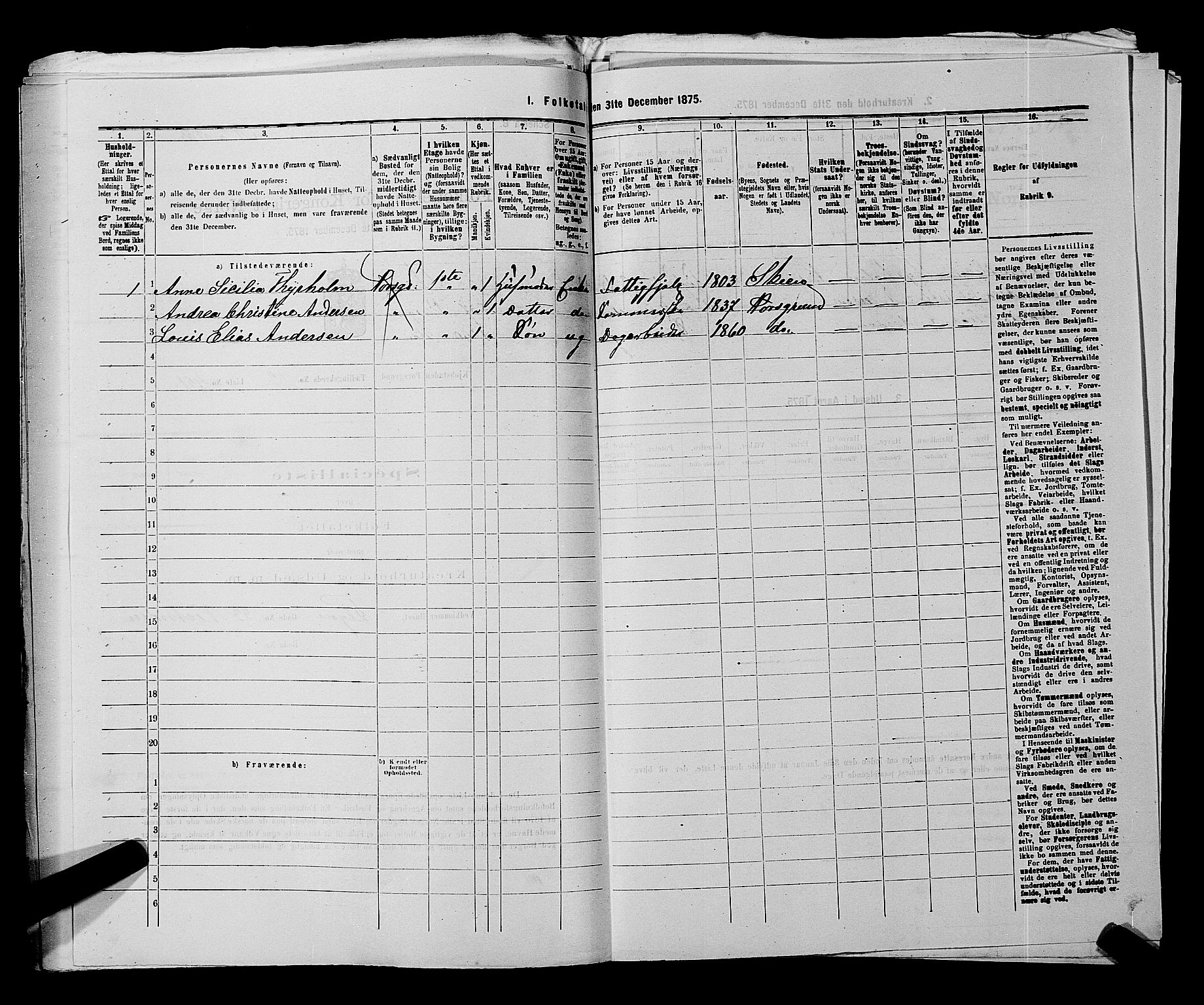 SAKO, 1875 census for 0805P Porsgrunn, 1875, p. 1012