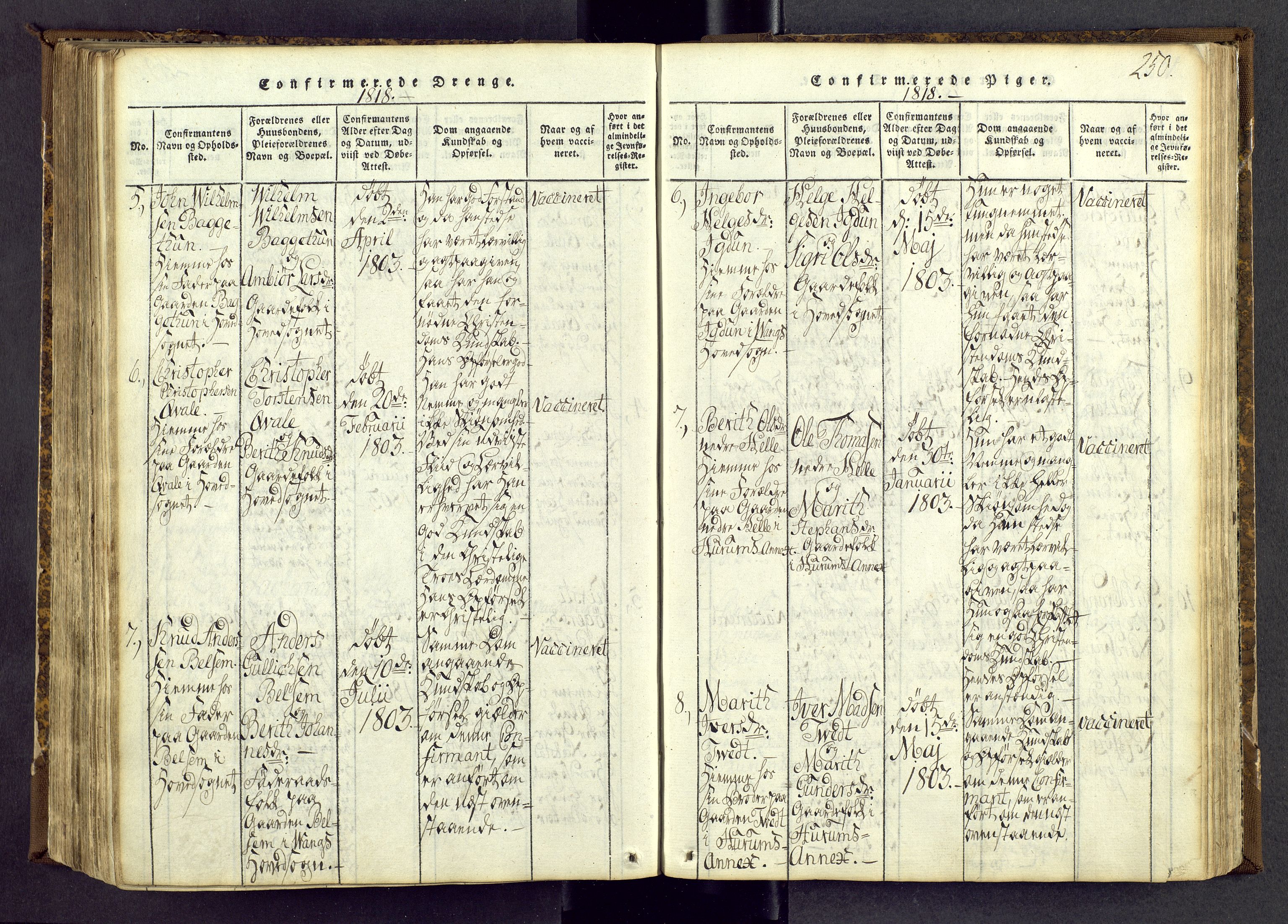 Vang prestekontor, Valdres, SAH/PREST-140/H/Ha/L0004: Parish register (official) no. 4, 1814-1831, p. 250