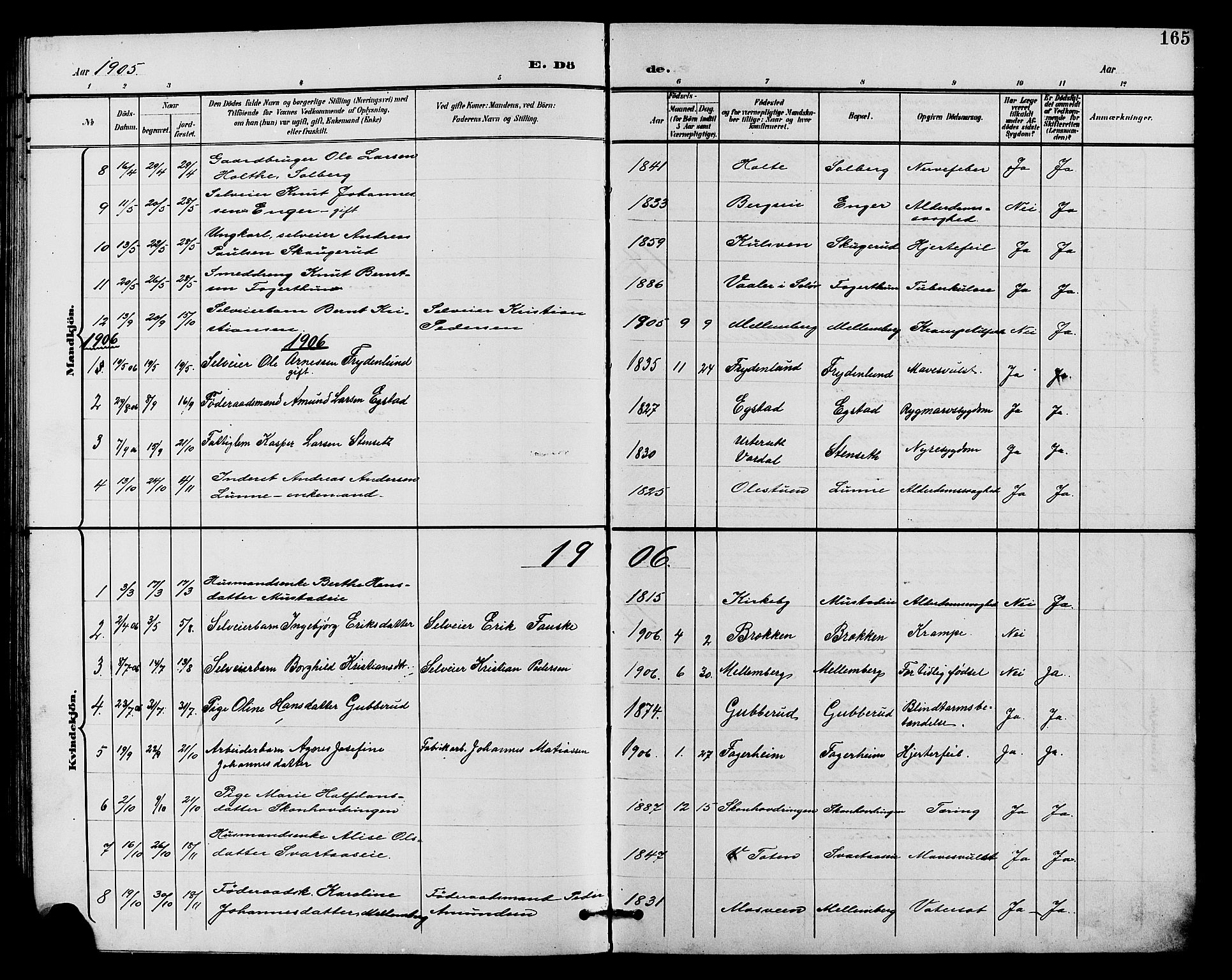 Vardal prestekontor, AV/SAH-PREST-100/H/Ha/Hab/L0011: Parish register (copy) no. 11, 1899-1913, p. 165