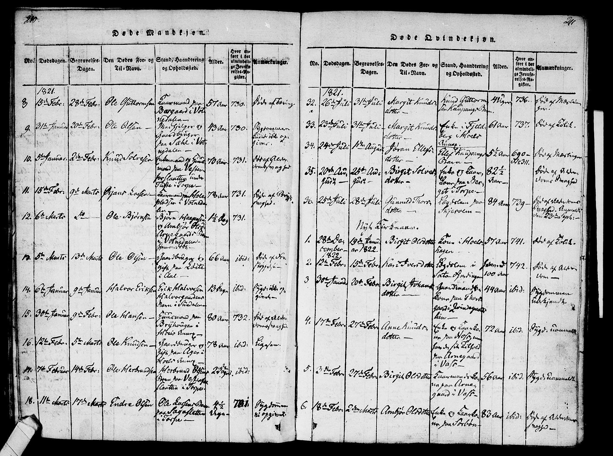 Ål kirkebøker, SAKO/A-249/F/Fa/L0004: Parish register (official) no. I 4, 1815-1825, p. 210-211