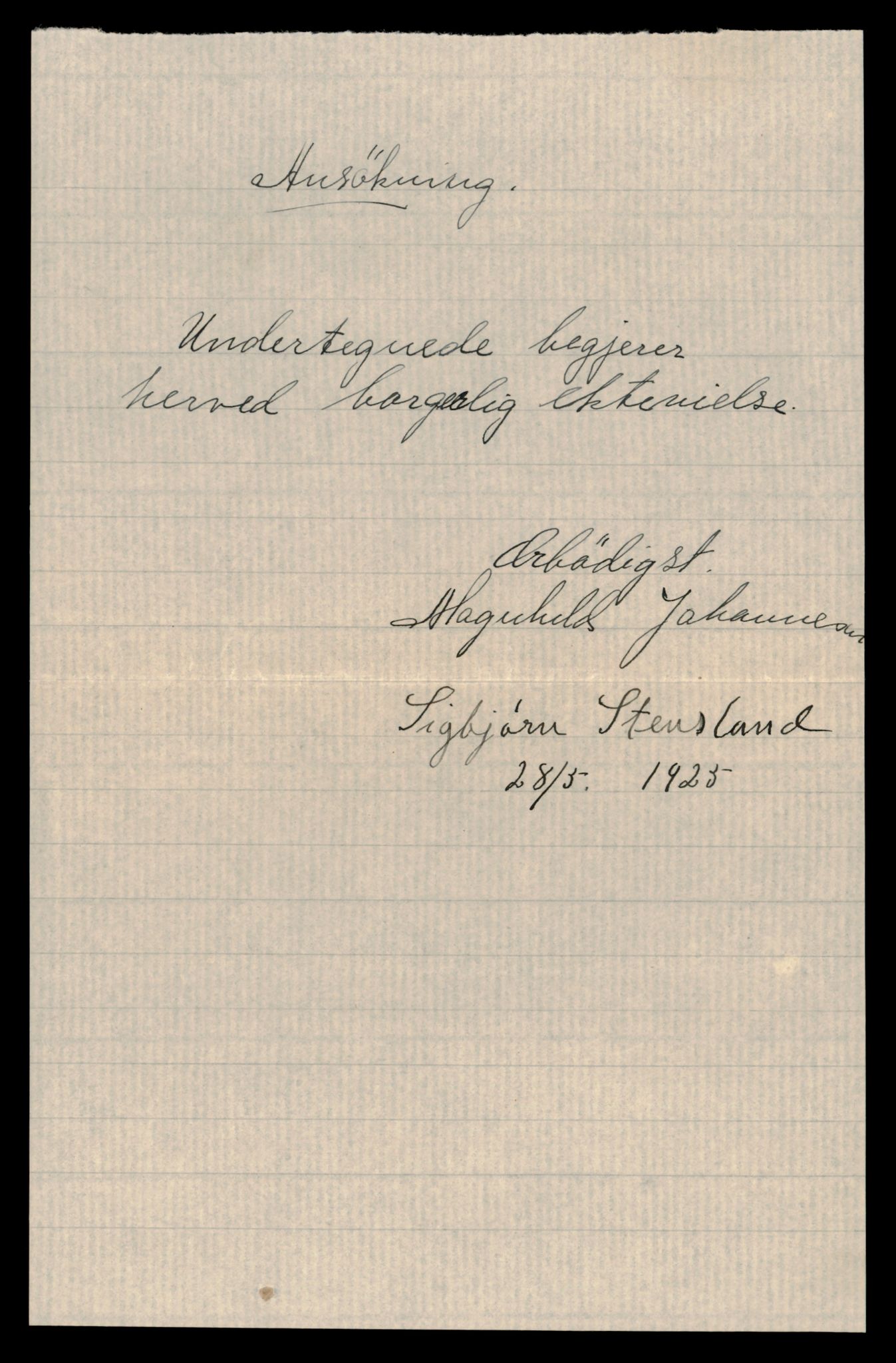 Salten sorenskriveri, AV/SAT-A-4578/1/6/6D/L0009: Lysingsbok, 1919-1928, p. 219