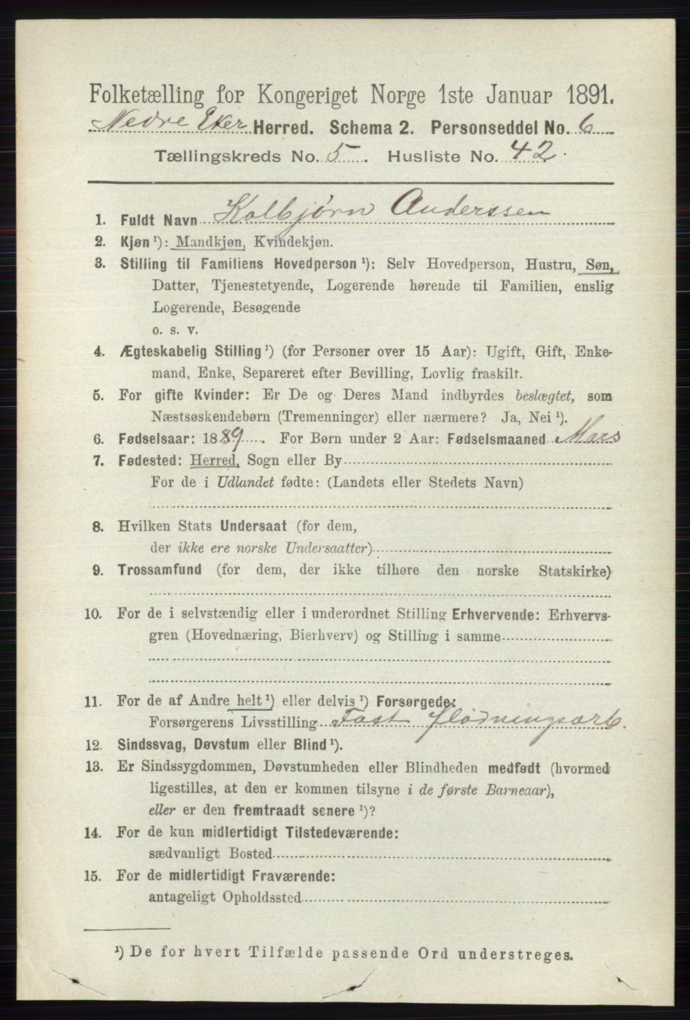 RA, 1891 census for 0625 Nedre Eiker, 1891, p. 2572