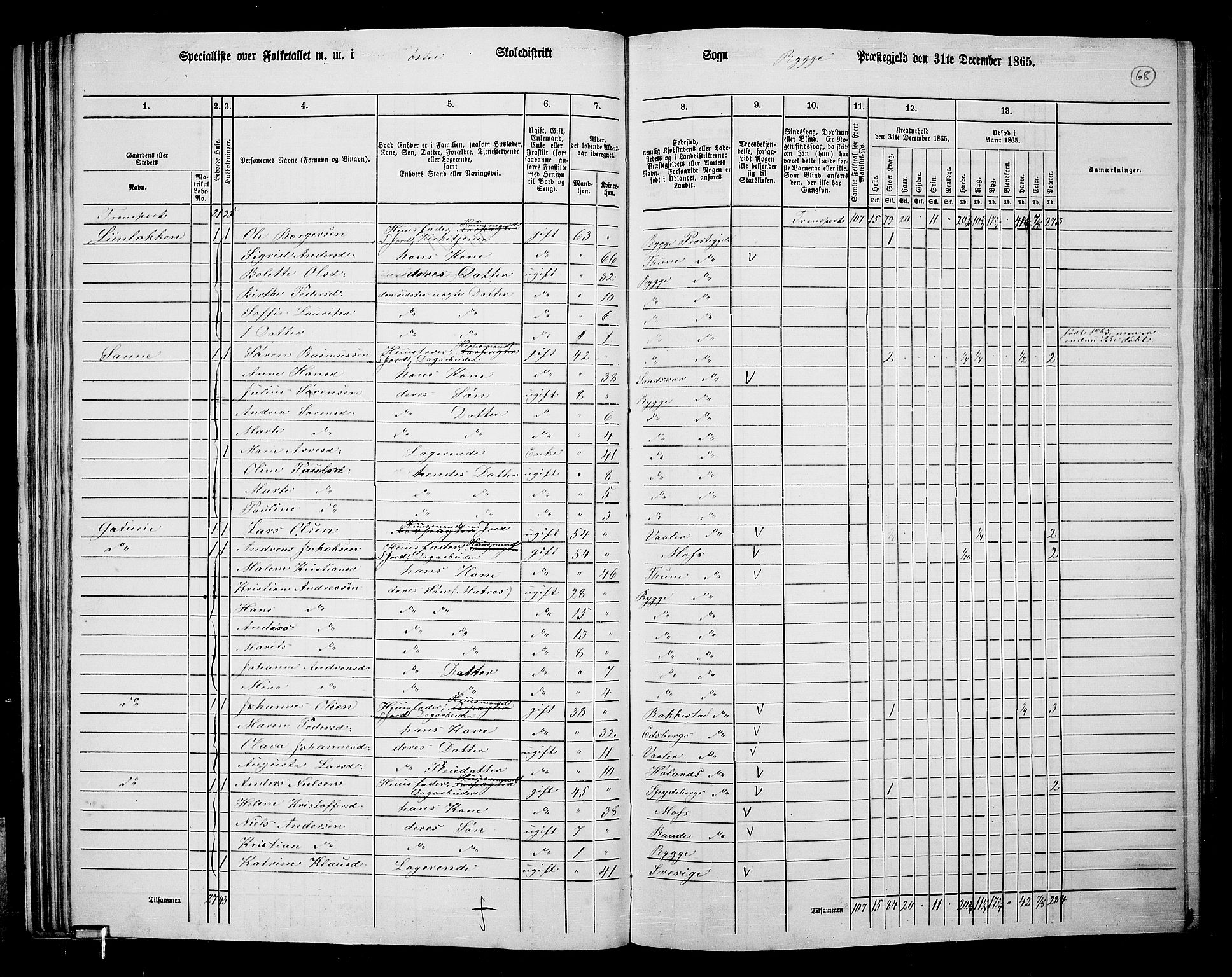 RA, 1865 census for Rygge, 1865, p. 11