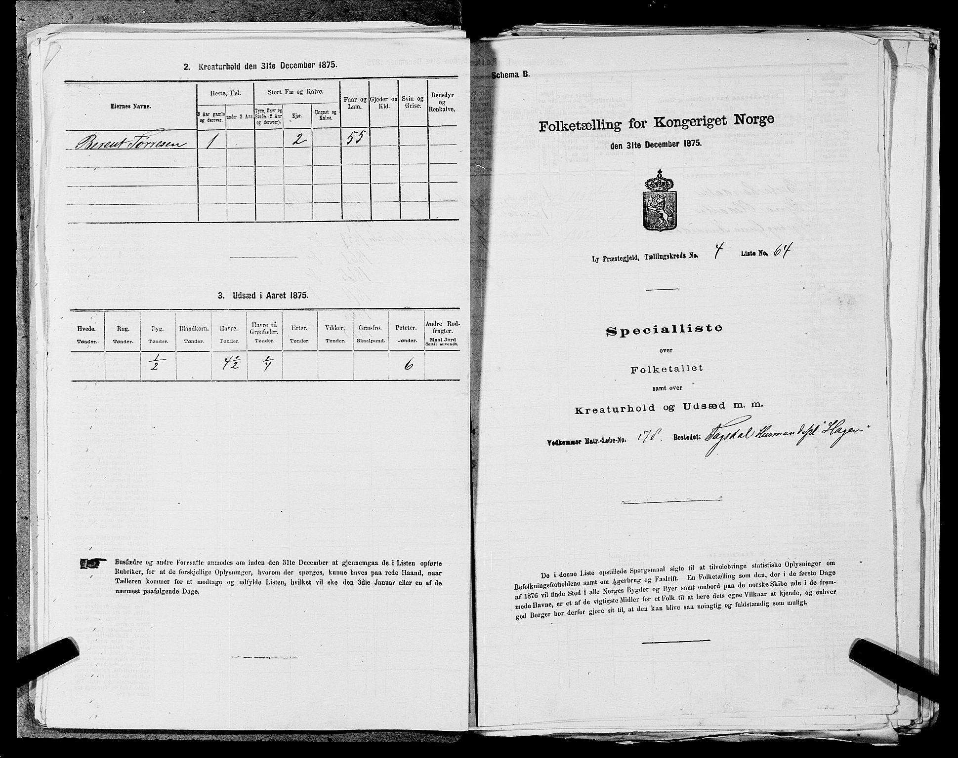 SAST, 1875 census for 1121P Lye, 1875, p. 601