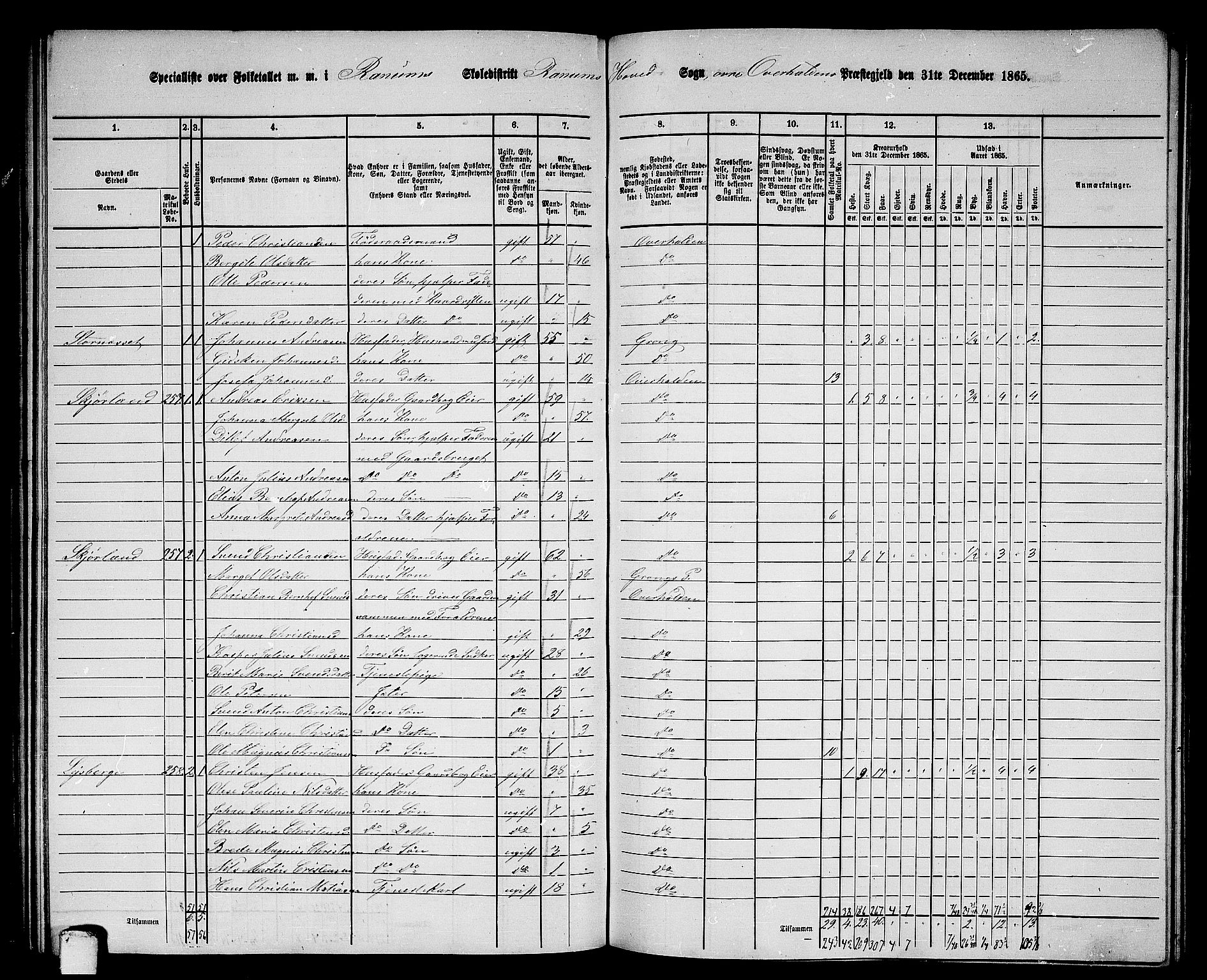 RA, 1865 census for Overhalla, 1865, p. 28