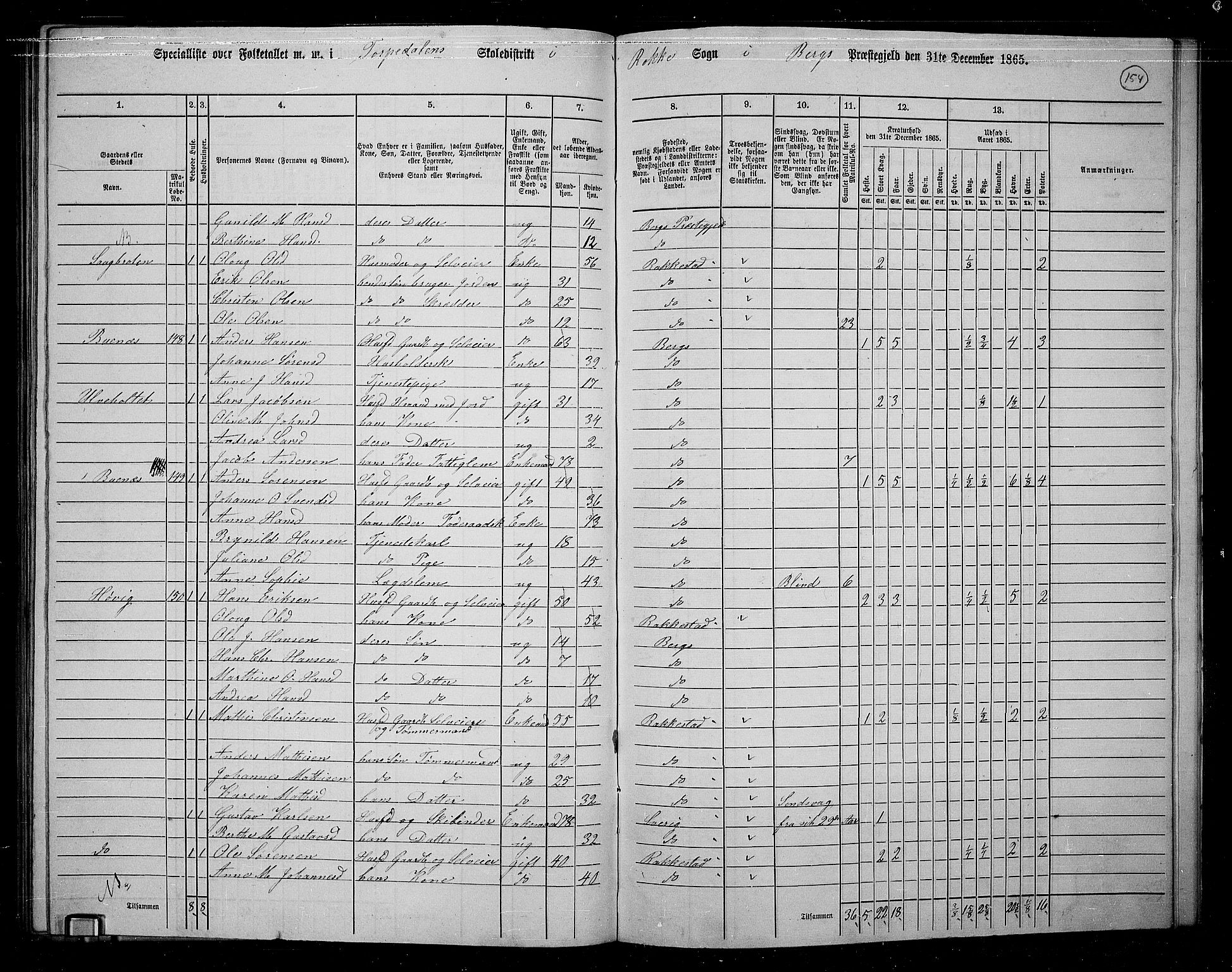 RA, 1865 census for Berg, 1865, p. 132