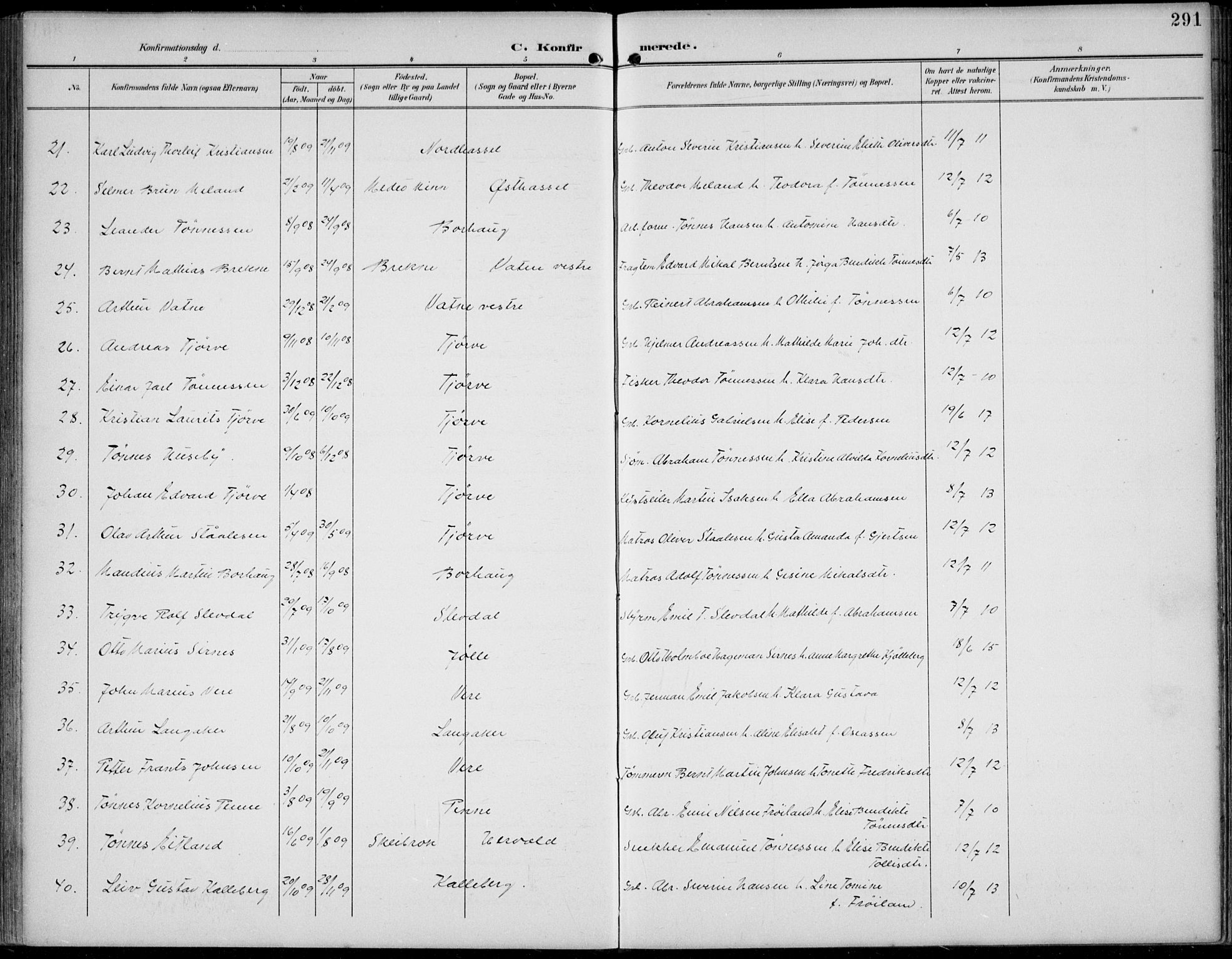 Lista sokneprestkontor, AV/SAK-1111-0027/F/Fb/L0005: Parish register (copy) no. B 5, 1892-1923, p. 291