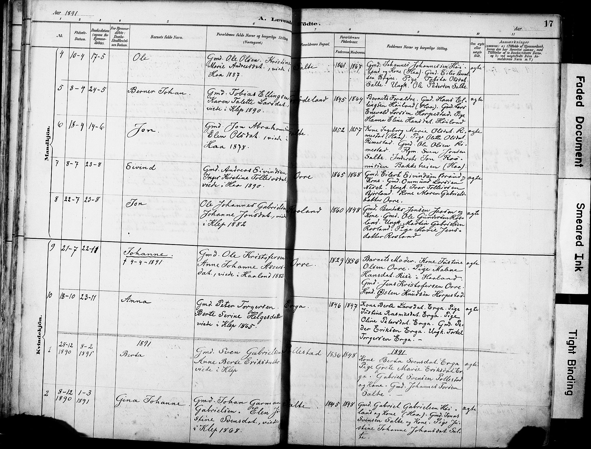 Klepp sokneprestkontor, AV/SAST-A-101803/001/3/30BA/L0007: Parish register (official) no. A 8, 1886-1912, p. 17