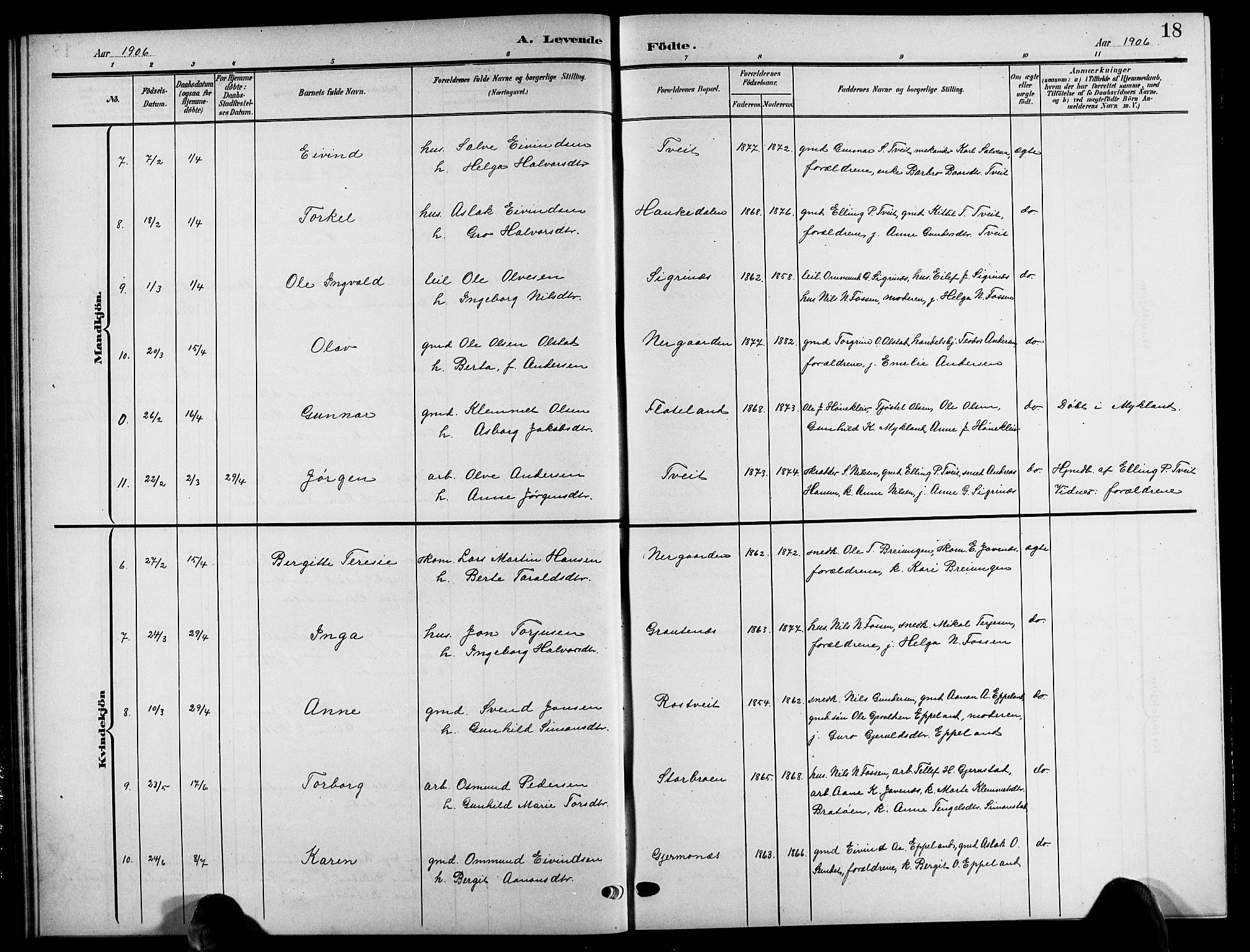 Åmli sokneprestkontor, SAK/1111-0050/F/Fb/Fbc/L0005: Parish register (copy) no. B 5, 1903-1916, p. 18