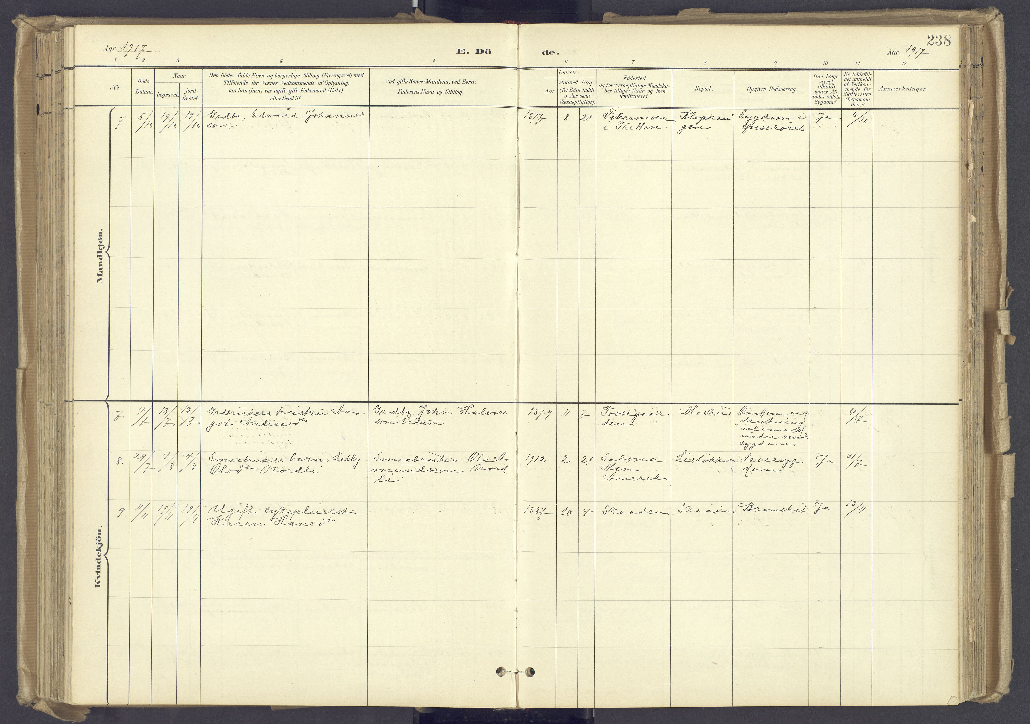 Øyer prestekontor, AV/SAH-PREST-084/H/Ha/Haa/L0012: Parish register (official) no. 12, 1897-1920, p. 238