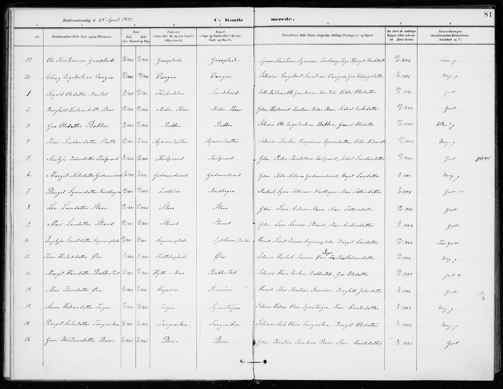 Ål kirkebøker, AV/SAKO-A-249/F/Fa/L0009: Parish register (official) no. I 9, 1897-1915, p. 81