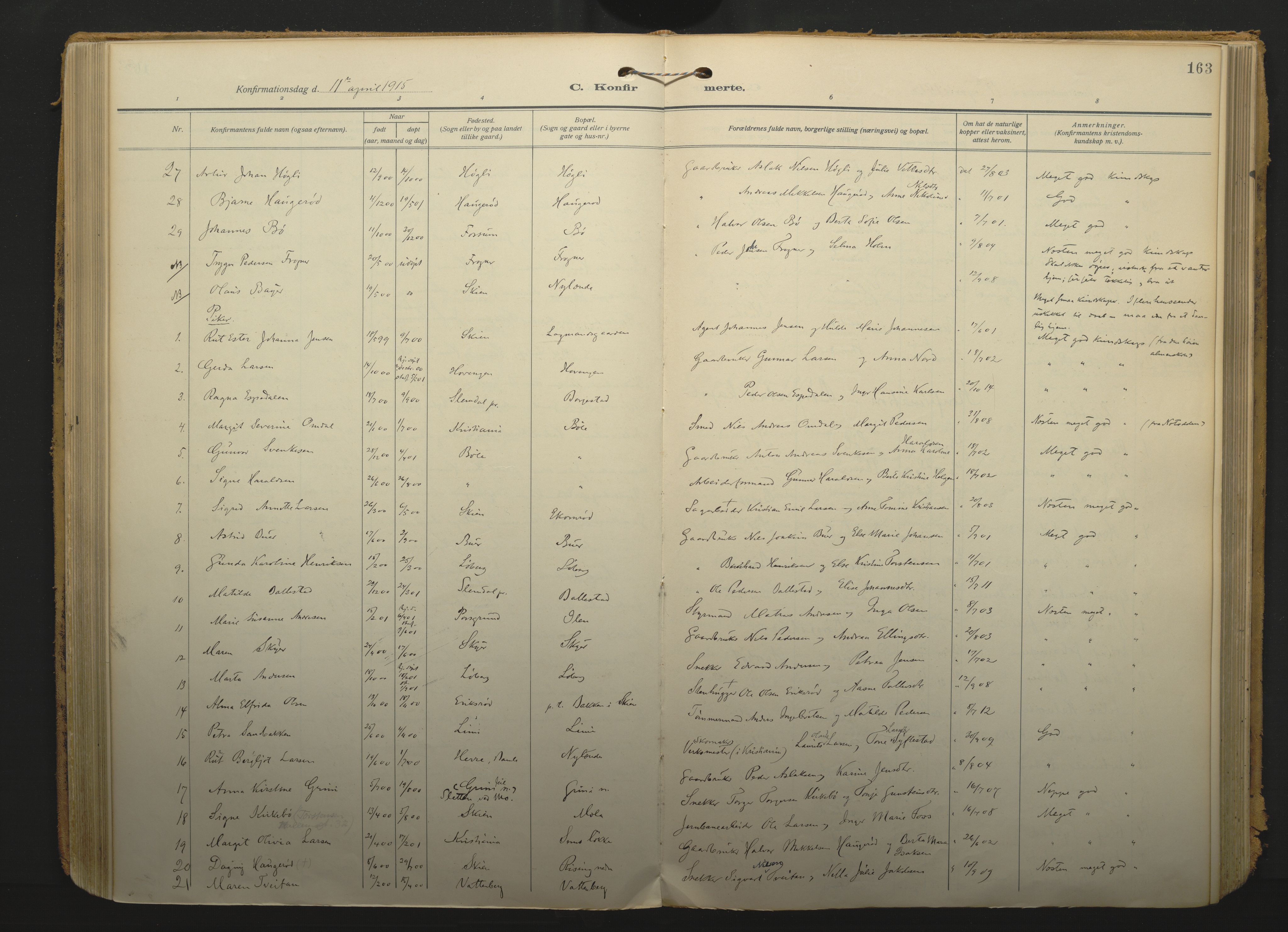 Gjerpen kirkebøker, SAKO/A-265/F/Fa/L0013: Parish register (official) no. I 13, 1914-1924, p. 163
