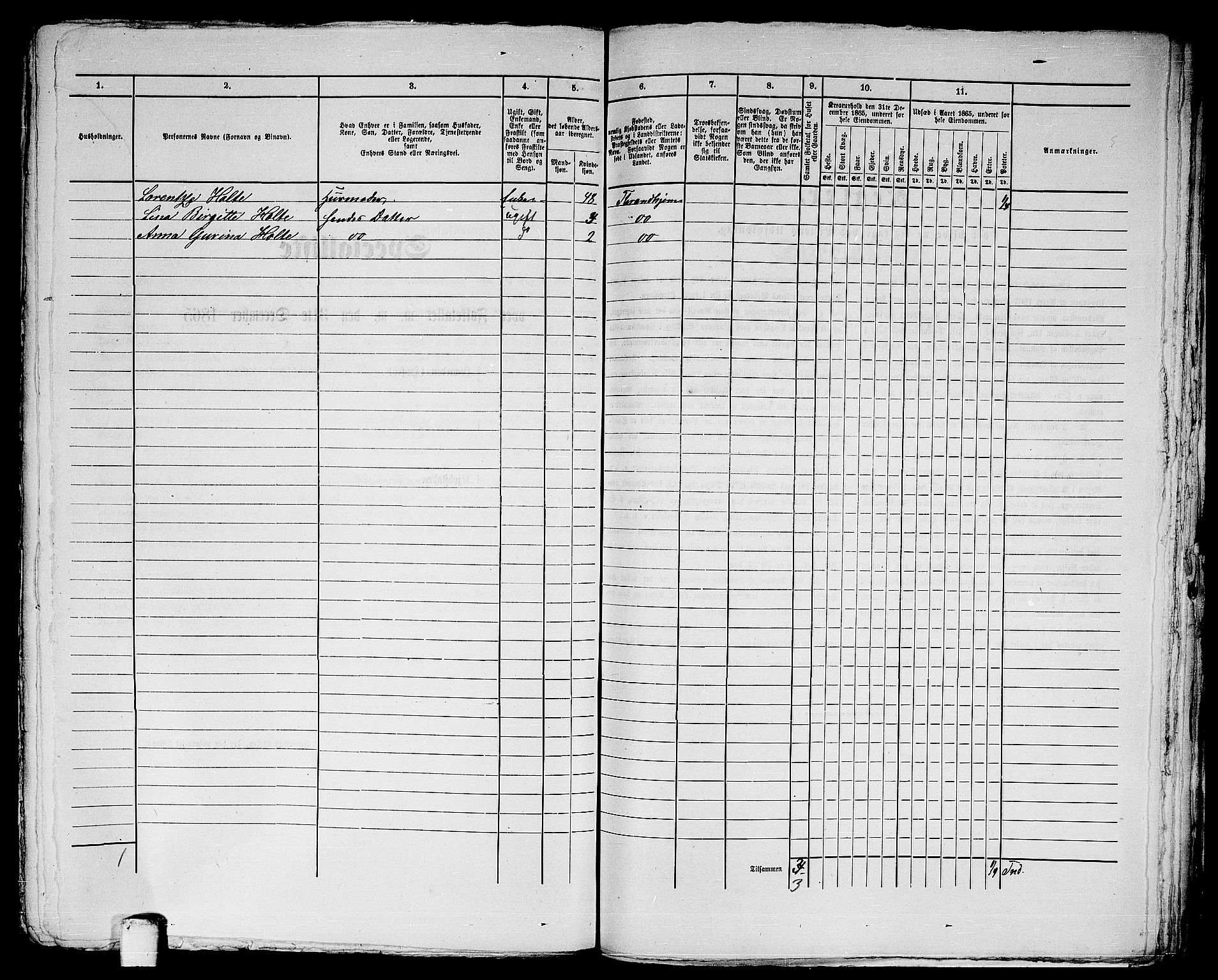 RA, 1865 census for Trondheim, 1865, p. 3045
