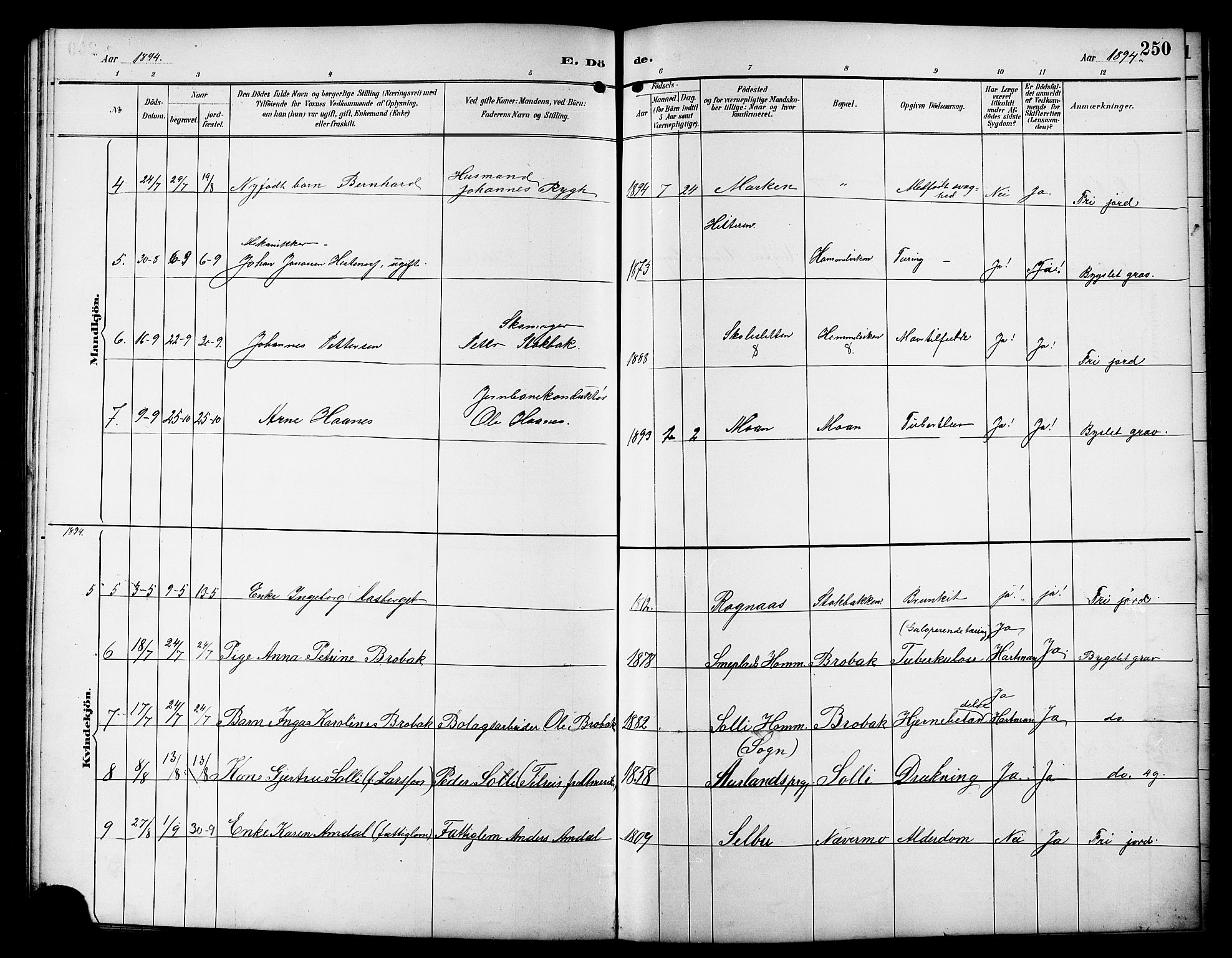 Ministerialprotokoller, klokkerbøker og fødselsregistre - Sør-Trøndelag, SAT/A-1456/617/L0431: Parish register (copy) no. 617C01, 1889-1910, p. 250