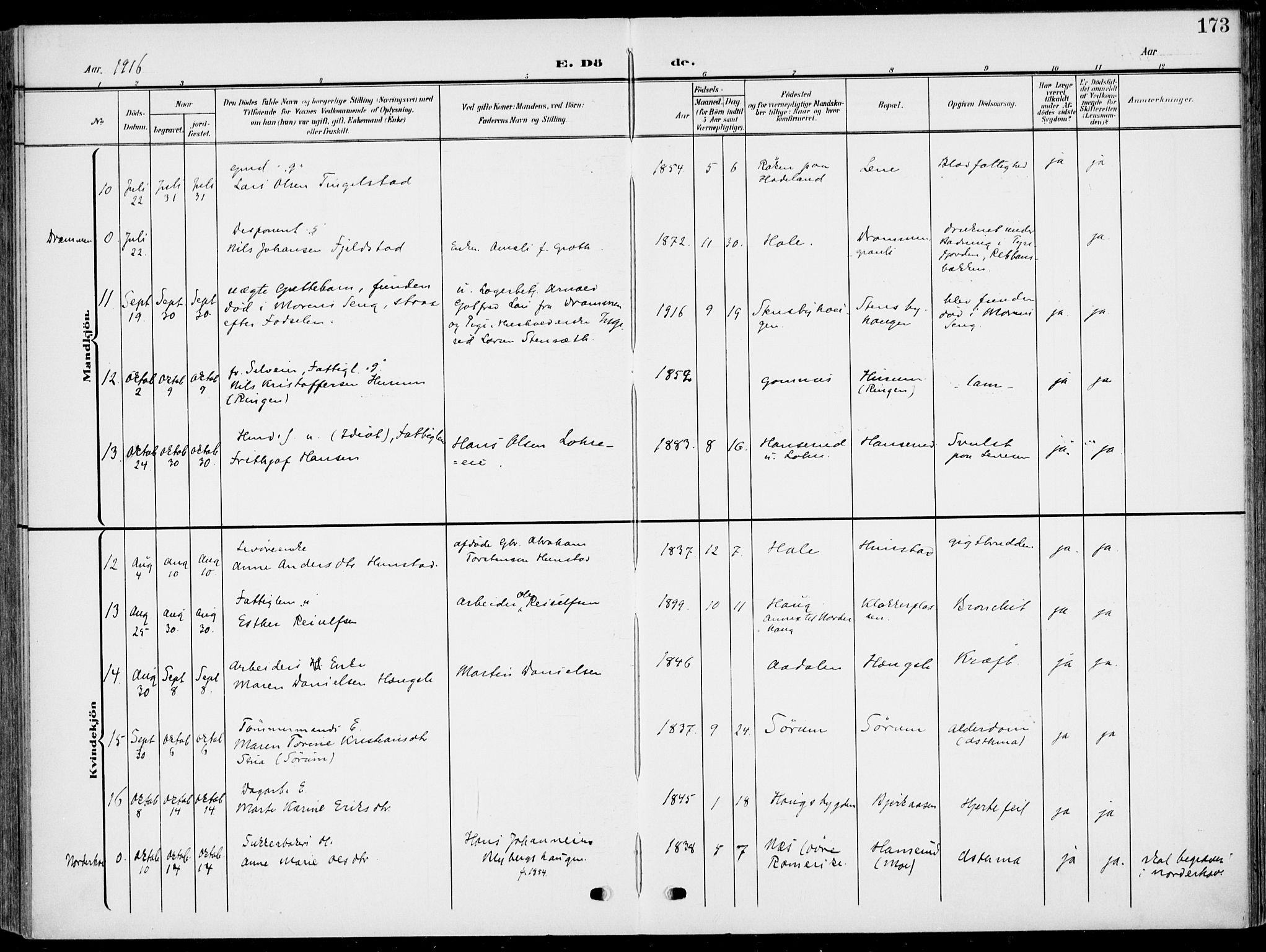 Hole kirkebøker, AV/SAKO-A-228/F/Fa/L0010: Parish register (official) no. I 10, 1907-1917, p. 173