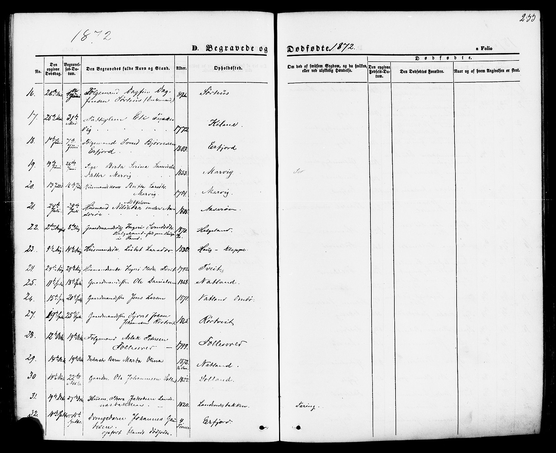 Jelsa sokneprestkontor, AV/SAST-A-101842/01/IV: Parish register (official) no. A 8, 1867-1883, p. 233