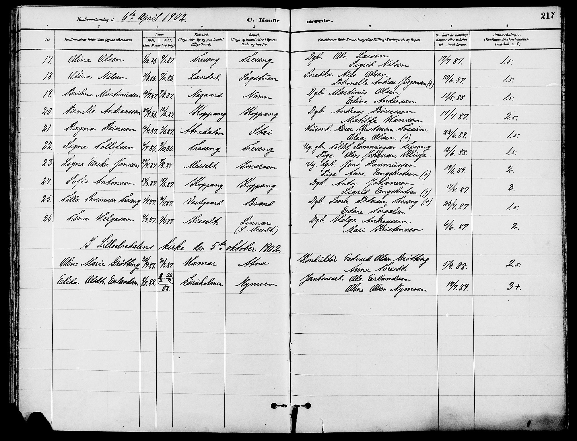 Stor-Elvdal prestekontor, SAH/PREST-052/H/Ha/Haa/L0002: Parish register (official) no. 2, 1882-1907, p. 217