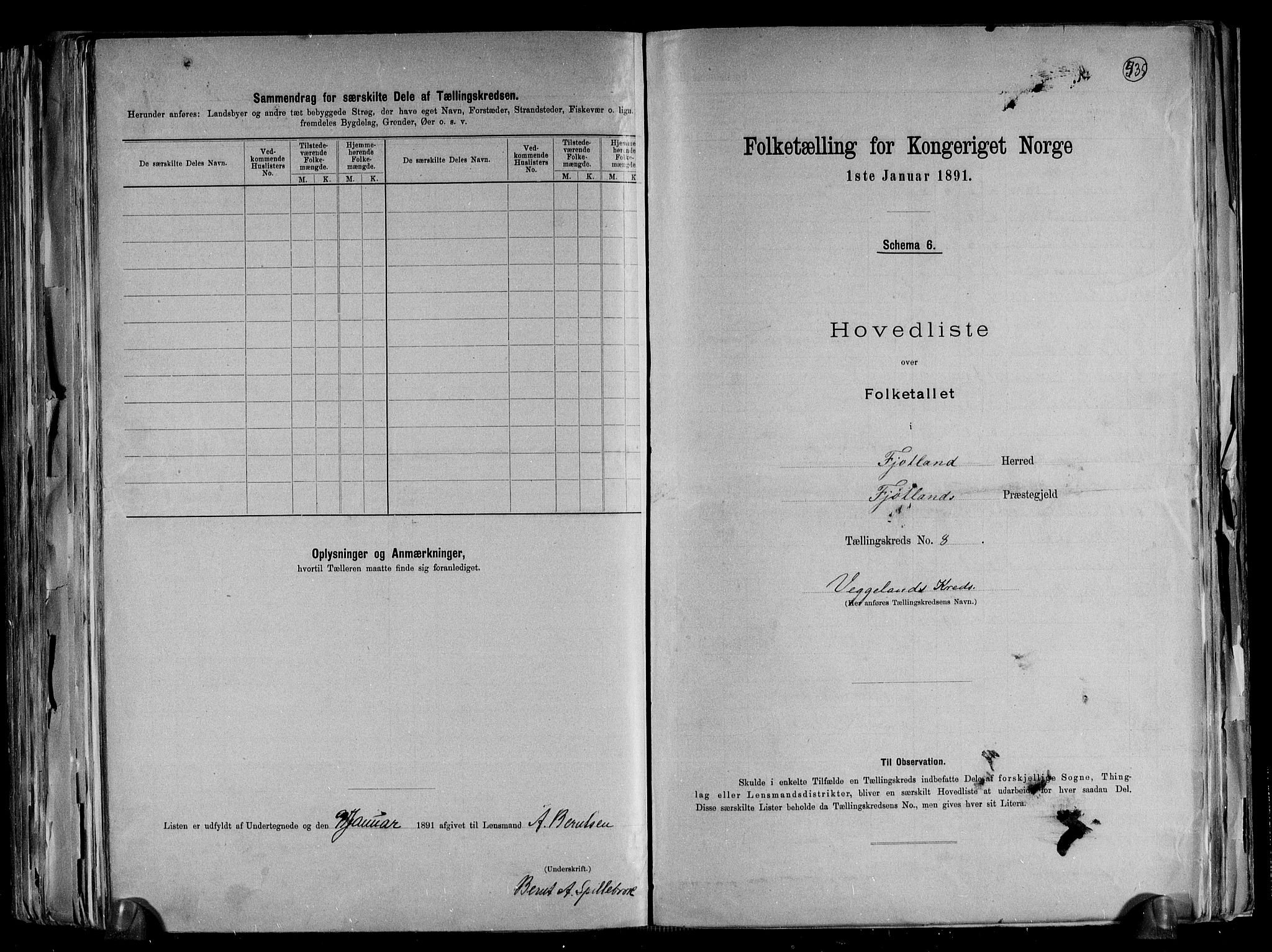 RA, 1891 census for 1036 Fjotland, 1891, p. 19