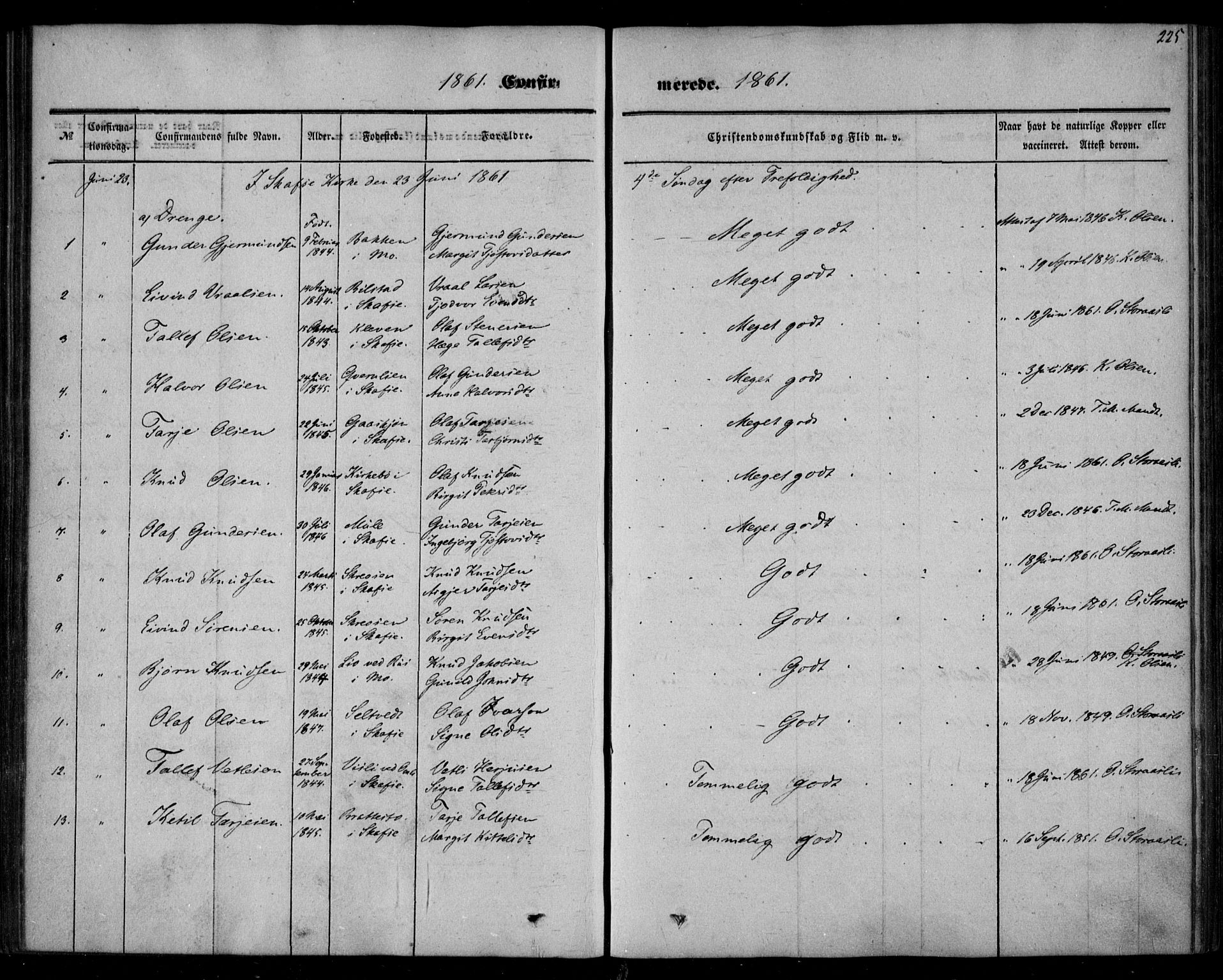 Mo kirkebøker, AV/SAKO-A-286/F/Fa/L0005: Parish register (official) no. I 5, 1844-1864, p. 225