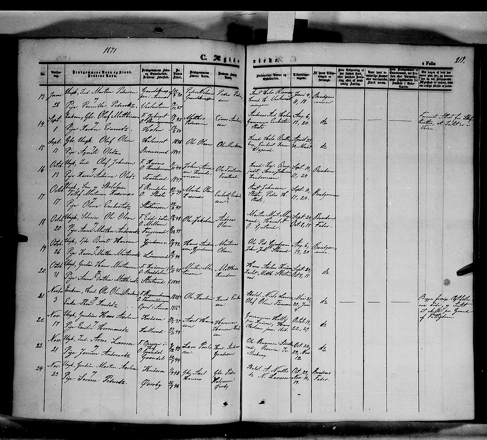 Våler prestekontor, Hedmark, AV/SAH-PREST-040/H/Ha/Haa/L0001: Parish register (official) no. 1, 1849-1878, p. 219