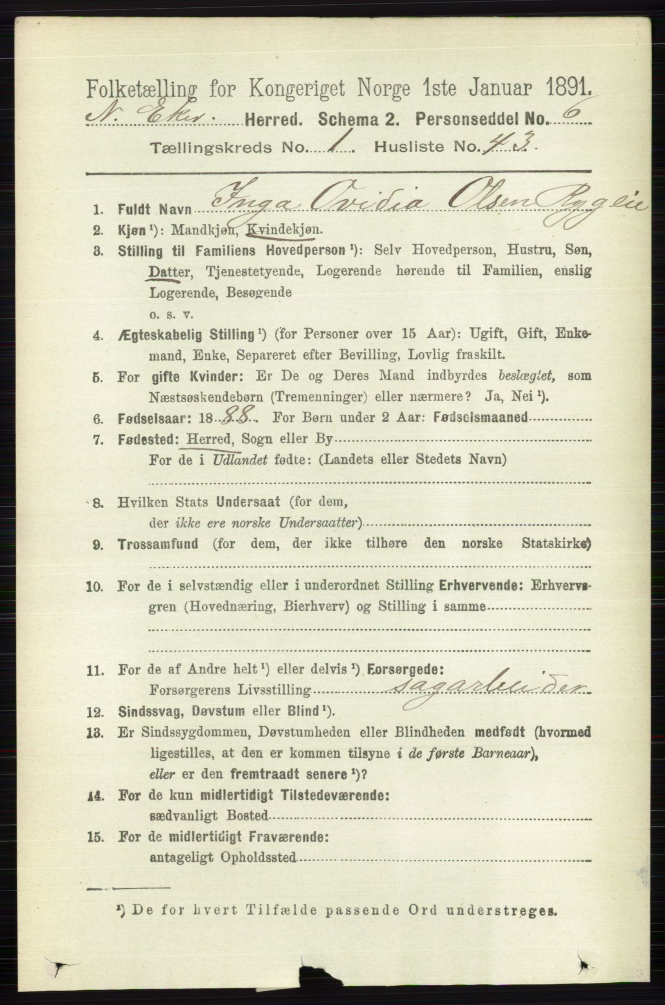 RA, 1891 census for 0625 Nedre Eiker, 1891, p. 317