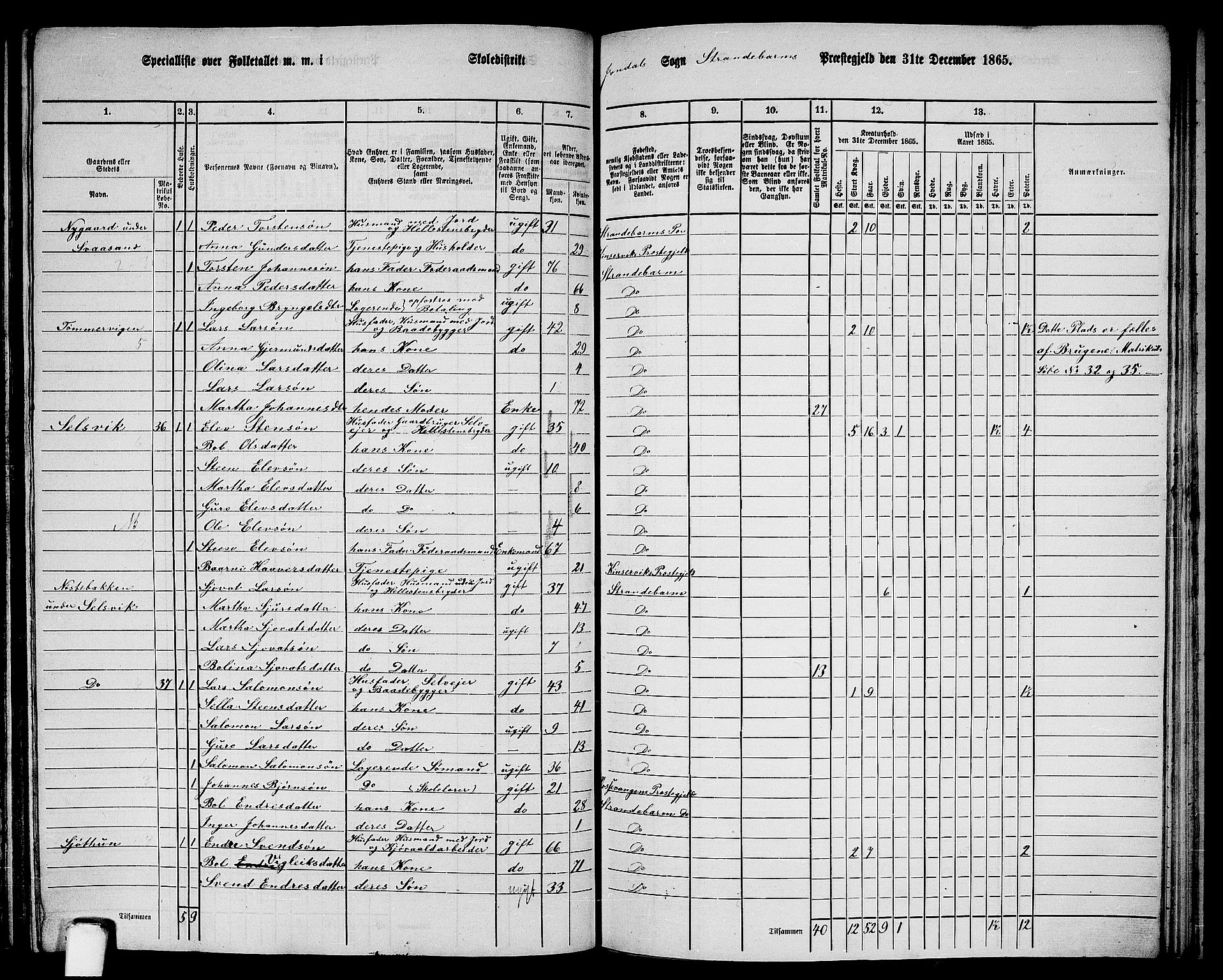 RA, 1865 census for Strandebarm, 1865, p. 160