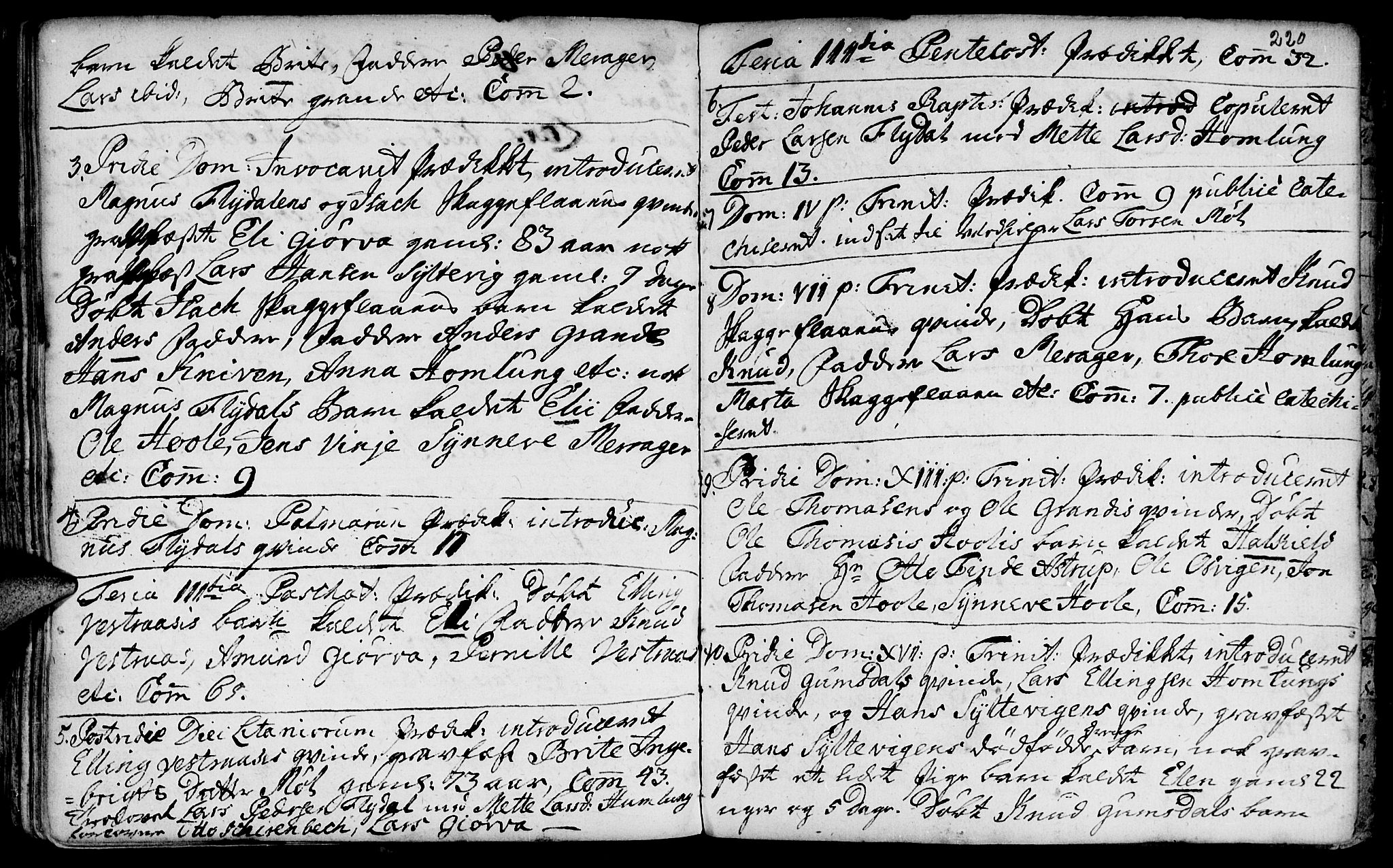 Ministerialprotokoller, klokkerbøker og fødselsregistre - Møre og Romsdal, AV/SAT-A-1454/519/L0242: Parish register (official) no. 519A01 /3, 1736-1761, p. 220