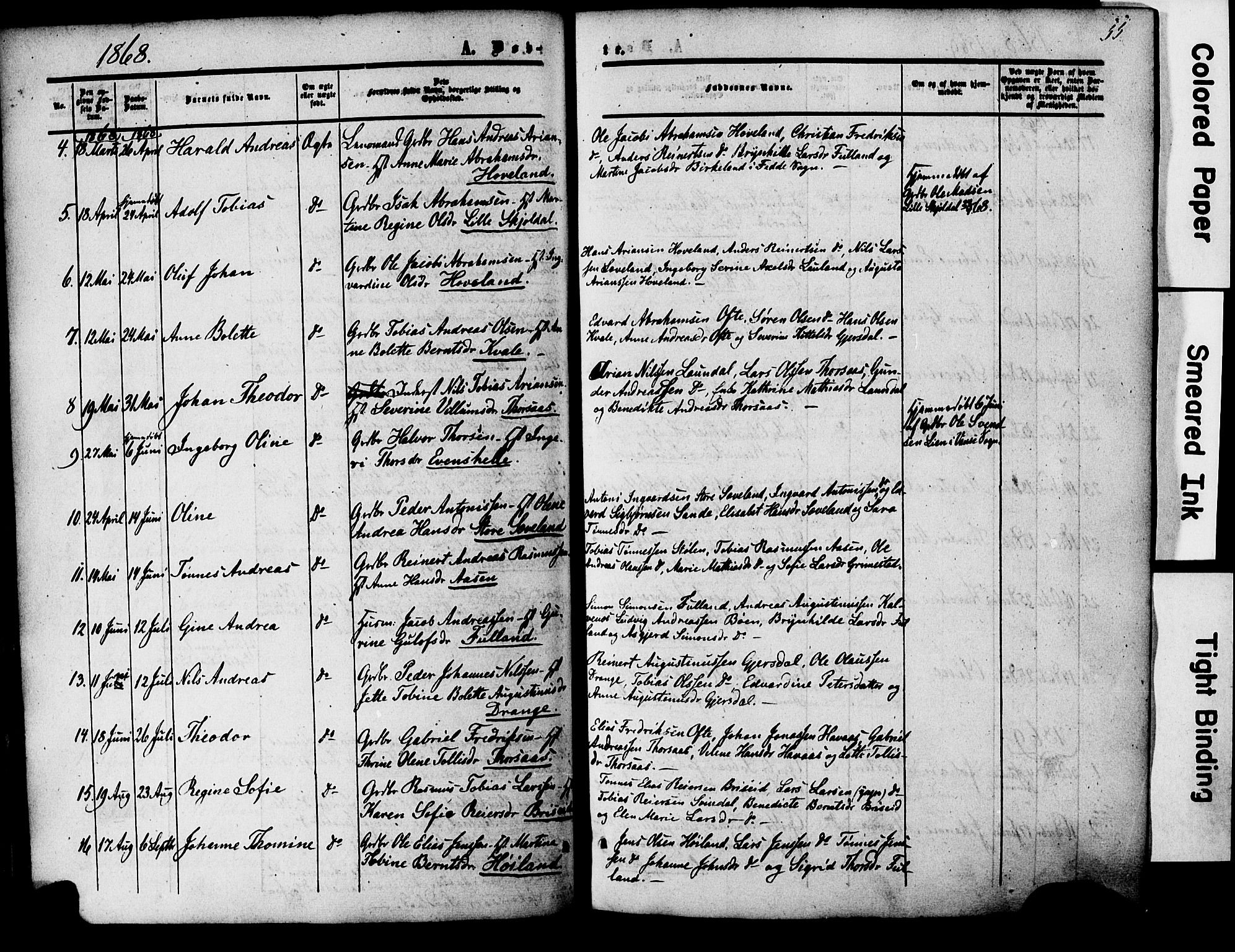 Herad sokneprestkontor, AV/SAK-1111-0018/F/Fa/Faa/L0005: Parish register (official) no. A 5, 1853-1886, p. 55