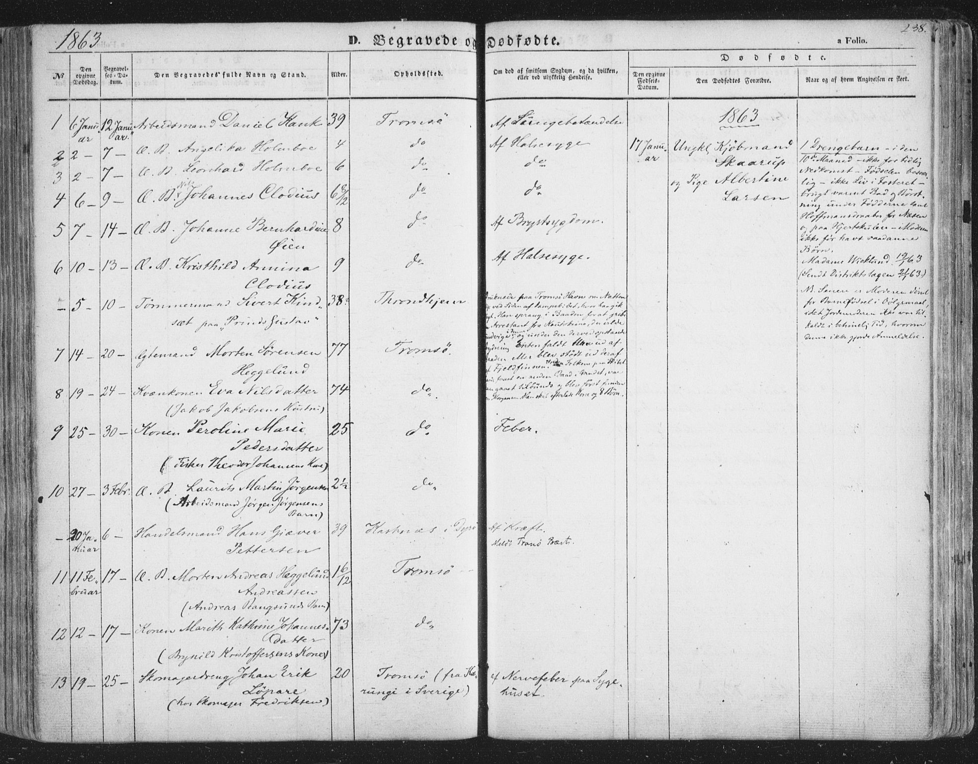 Tromsø sokneprestkontor/stiftsprosti/domprosti, AV/SATØ-S-1343/G/Ga/L0011kirke: Parish register (official) no. 11, 1856-1865, p. 238