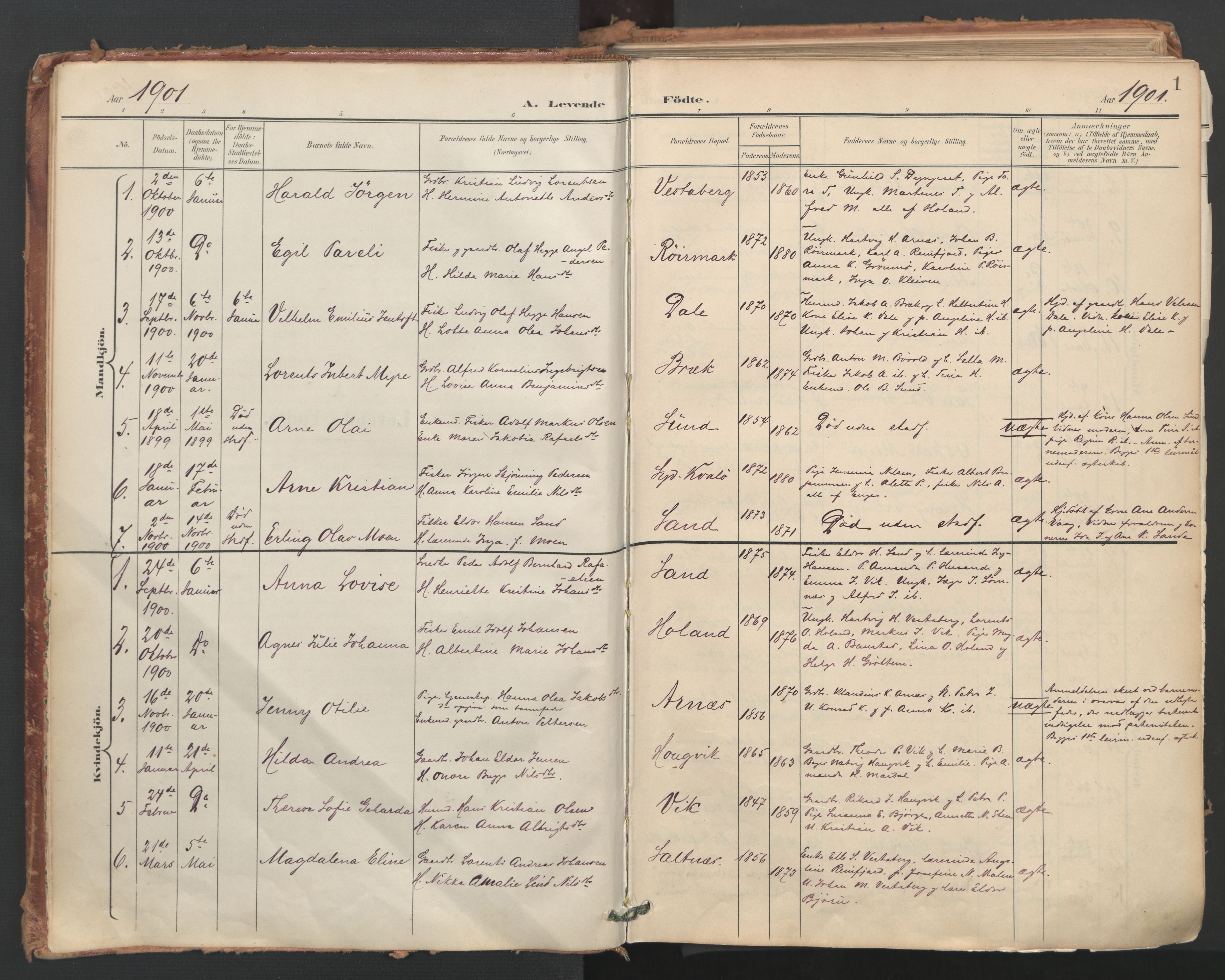 Ministerialprotokoller, klokkerbøker og fødselsregistre - Nordland, SAT/A-1459/812/L0180: Parish register (official) no. 812A09, 1901-1915, p. 1