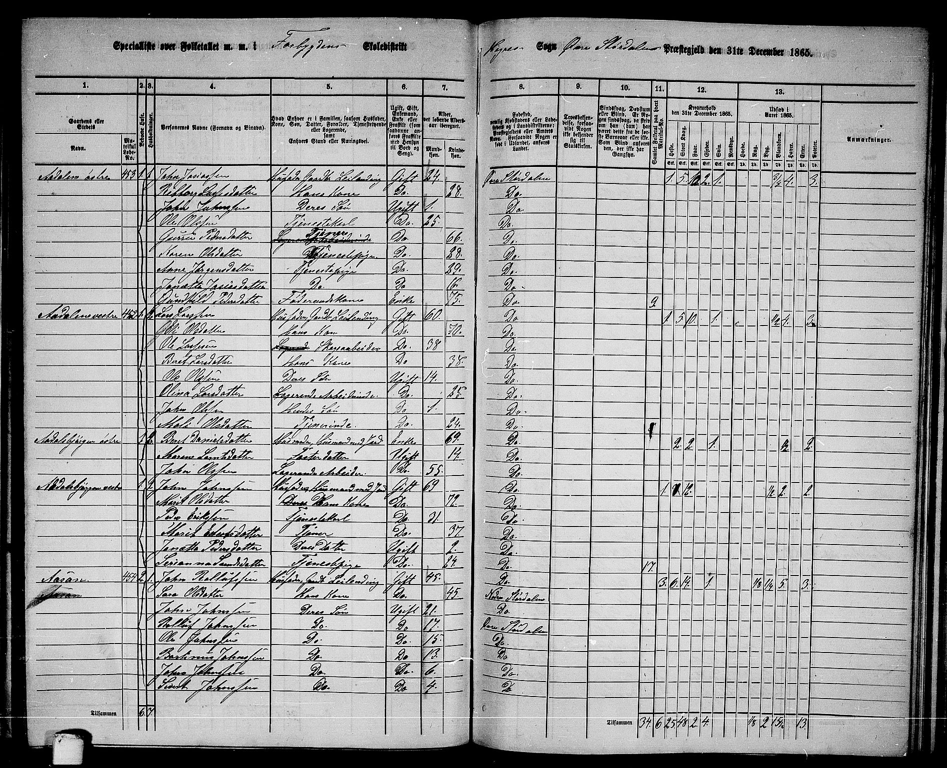 RA, 1865 census for Øvre Stjørdal, 1865, p. 113