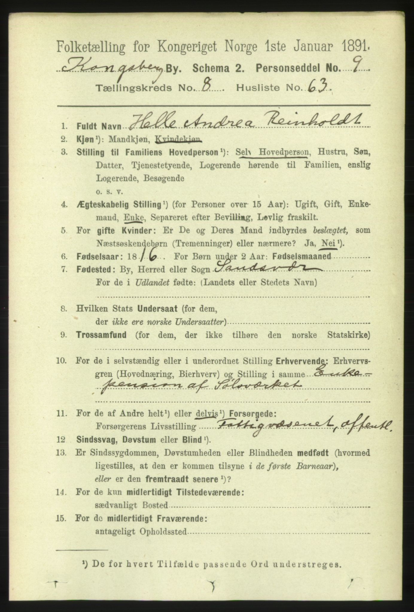 RA, 1891 census for 0604 Kongsberg, 1891, p. 6033