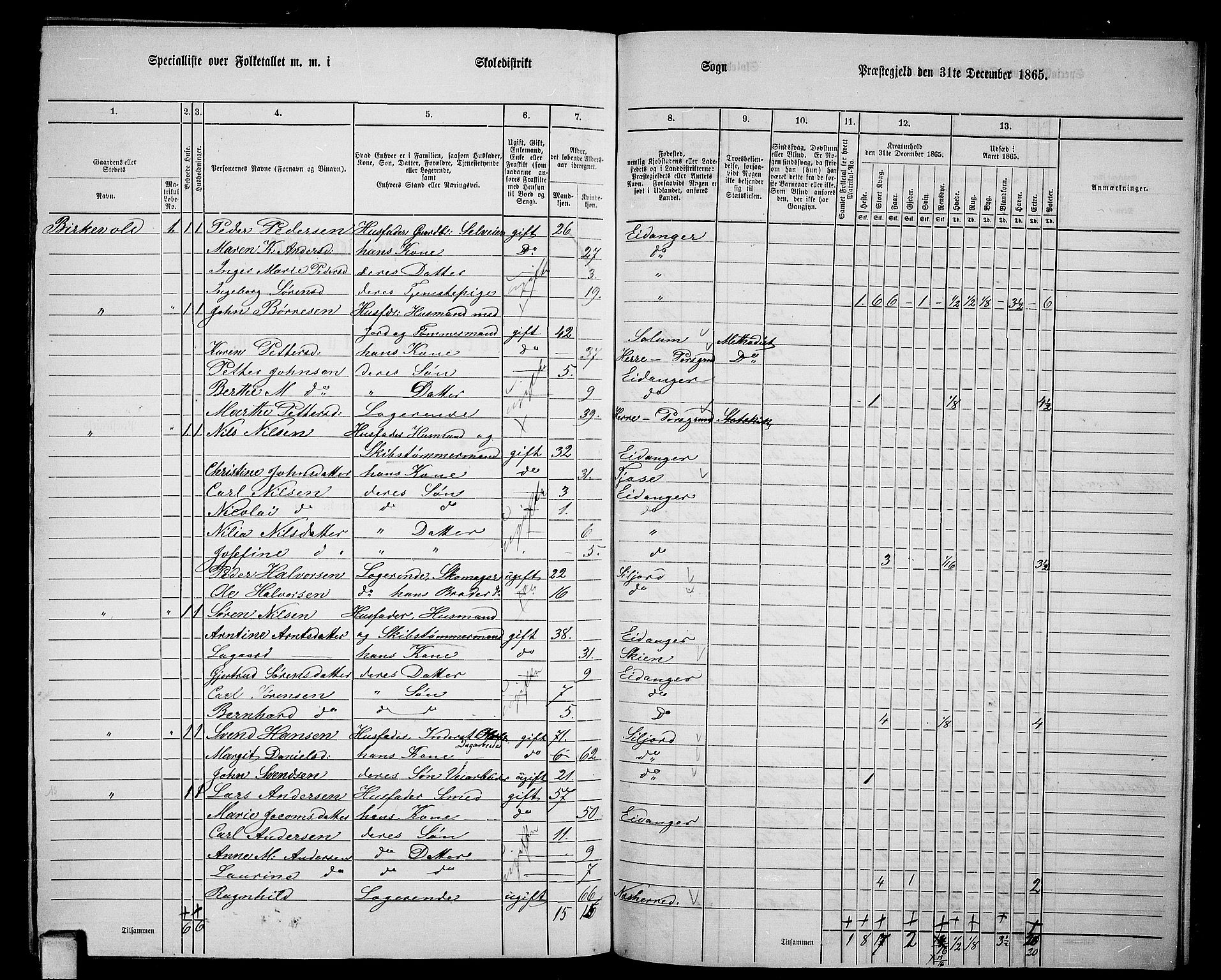 RA, 1865 census for Eidanger, 1865, p. 100