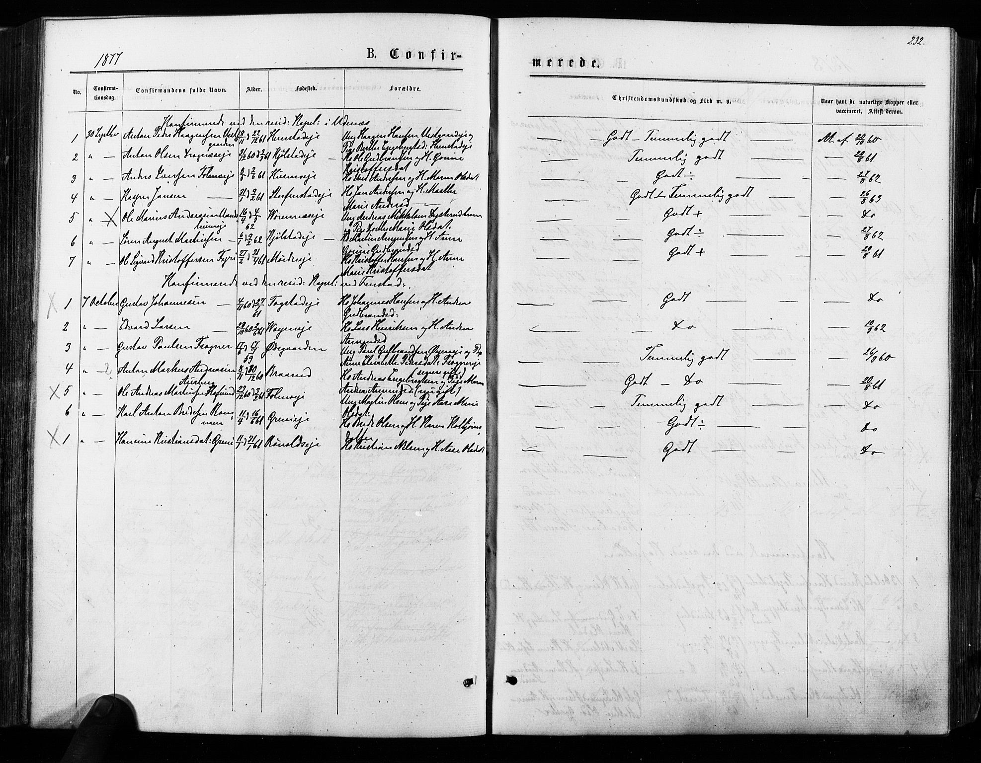 Nes prestekontor Kirkebøker, AV/SAO-A-10410/F/Fa/L0009: Parish register (official) no. I 9, 1875-1882, p. 232