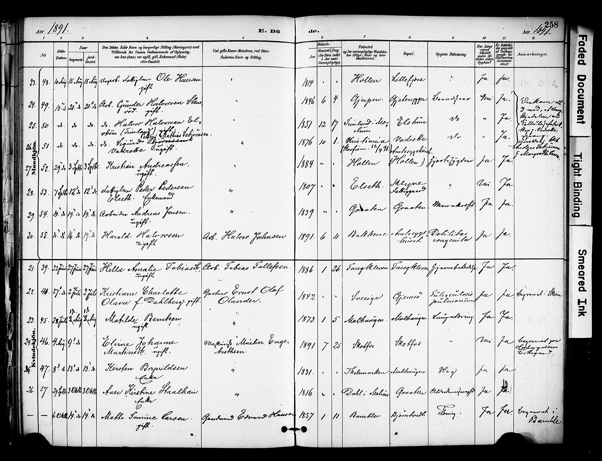 Solum kirkebøker, SAKO/A-306/F/Fa/L0010: Parish register (official) no. I 10, 1888-1898, p. 258