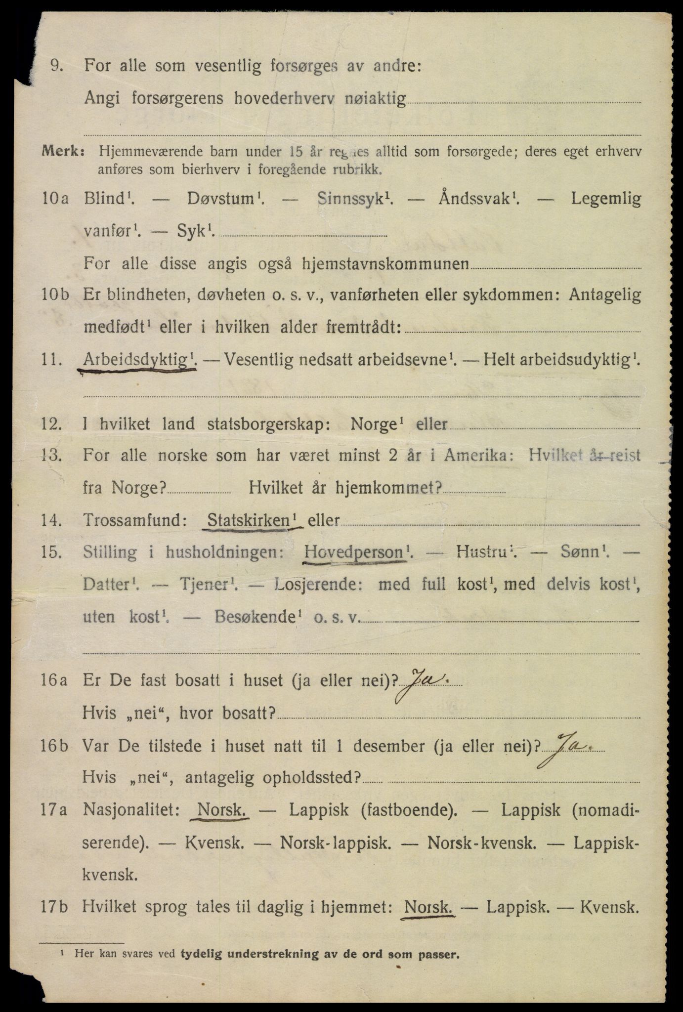 SAT, 1920 census for Saltdal, 1920, p. 1228