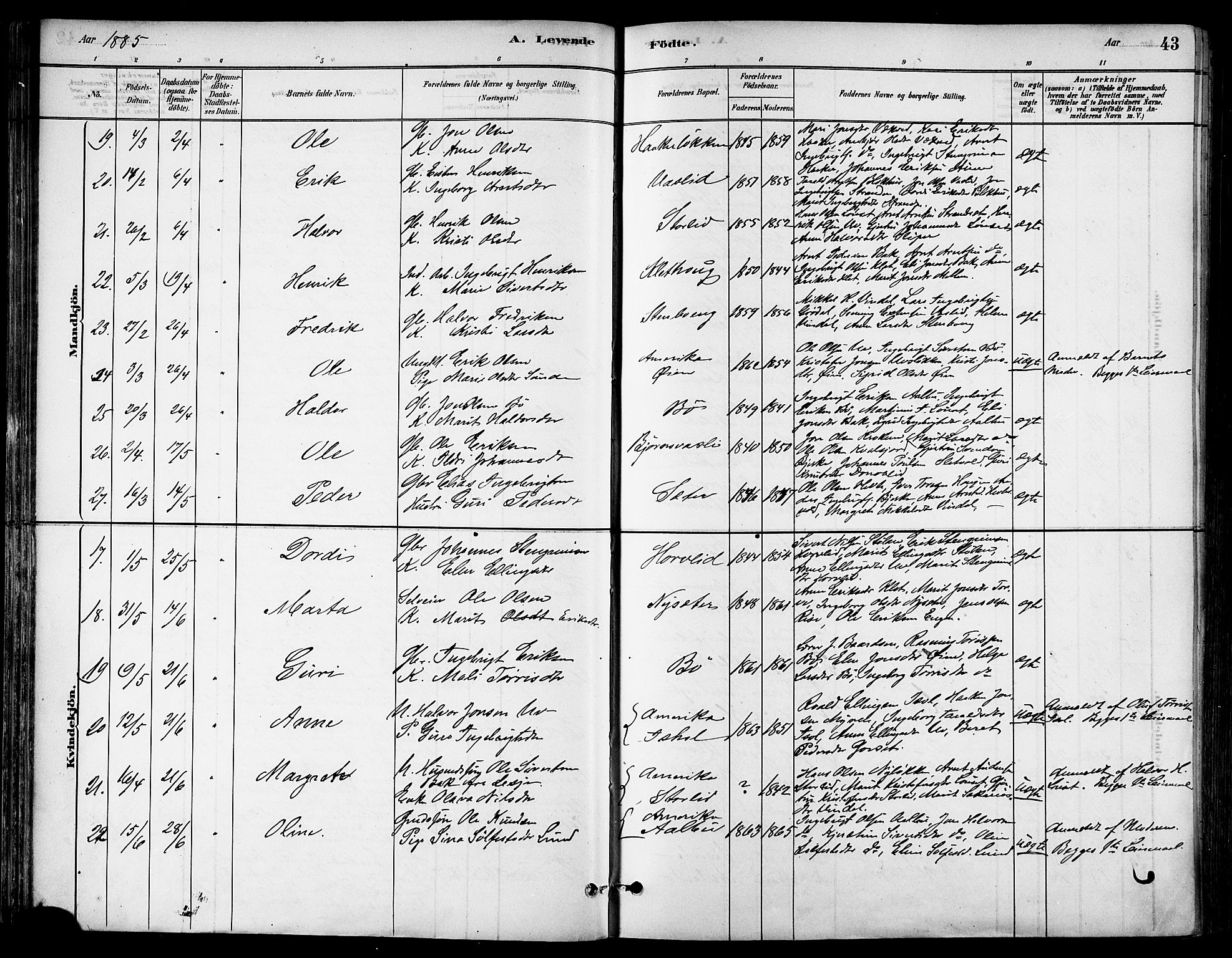 Ministerialprotokoller, klokkerbøker og fødselsregistre - Sør-Trøndelag, AV/SAT-A-1456/678/L0901: Parish register (official) no. 678A10, 1881-1894, p. 43