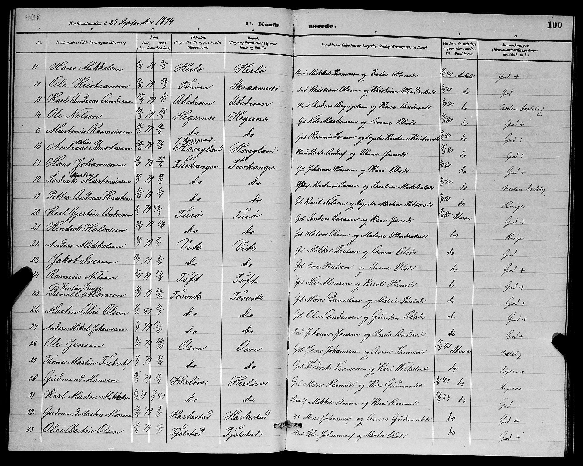 Herdla Sokneprestembete, AV/SAB-A-75701/H/Hab: Parish register (copy) no. A 3, 1889-1899, p. 100