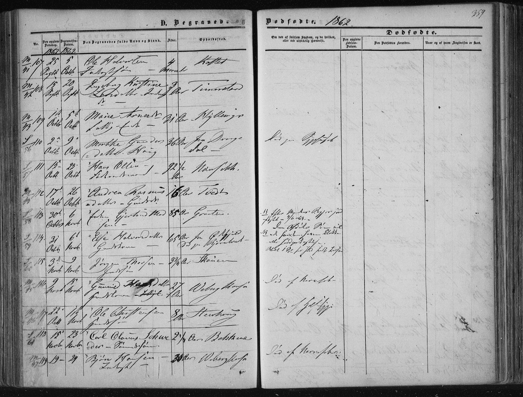 Solum kirkebøker, AV/SAKO-A-306/F/Fa/L0007: Parish register (official) no. I 7, 1856-1864, p. 359