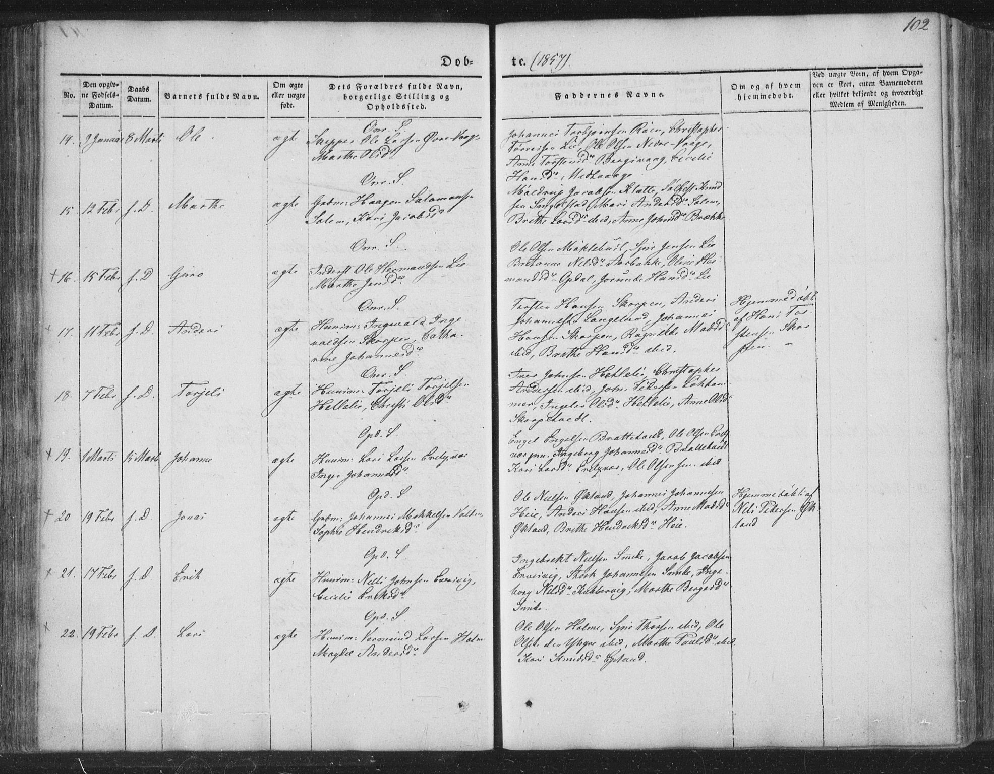 Tysnes sokneprestembete, AV/SAB-A-78601/H/Haa: Parish register (official) no. A 10, 1848-1859, p. 102