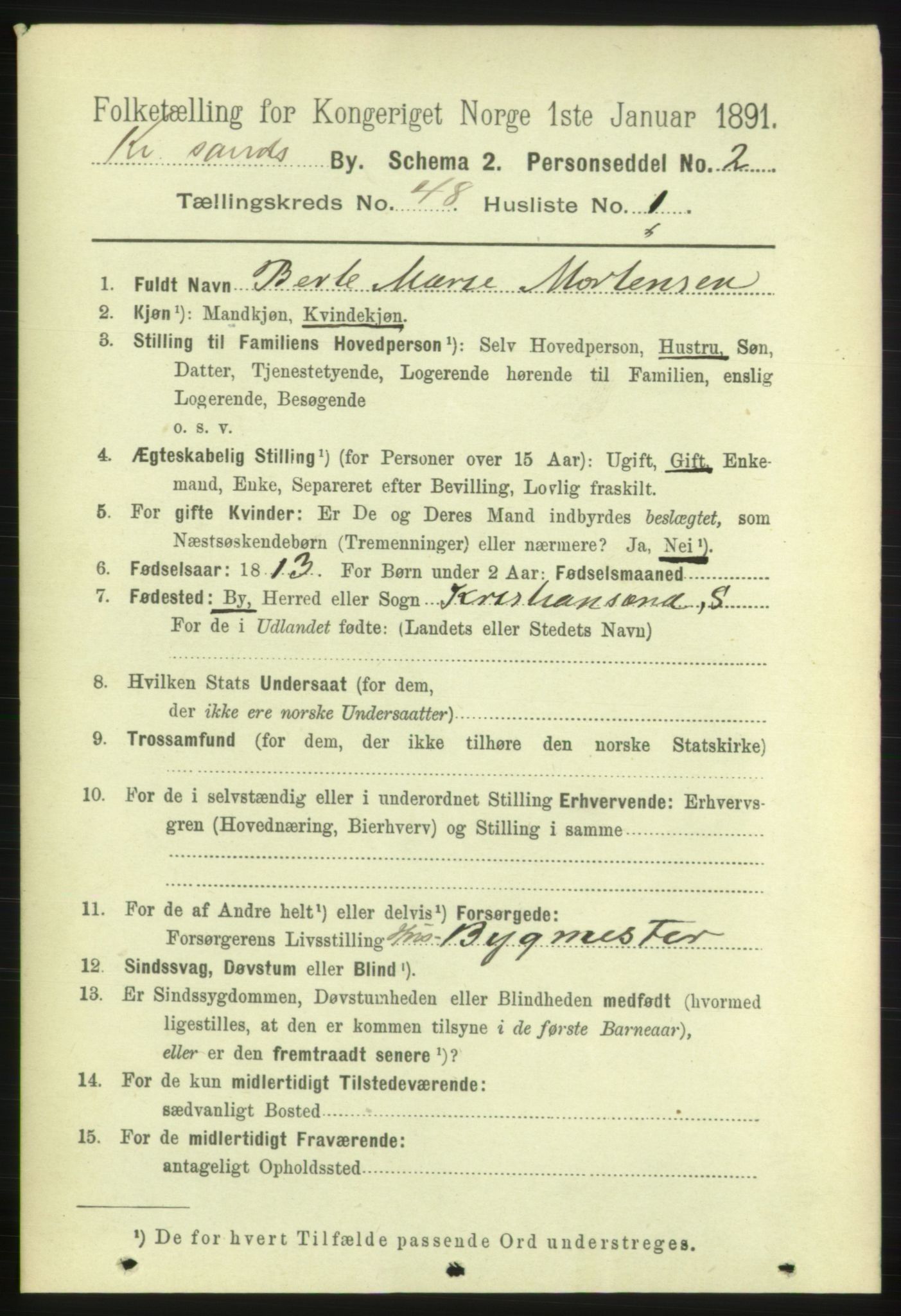 RA, 1891 census for 1001 Kristiansand, 1891, p. 14676