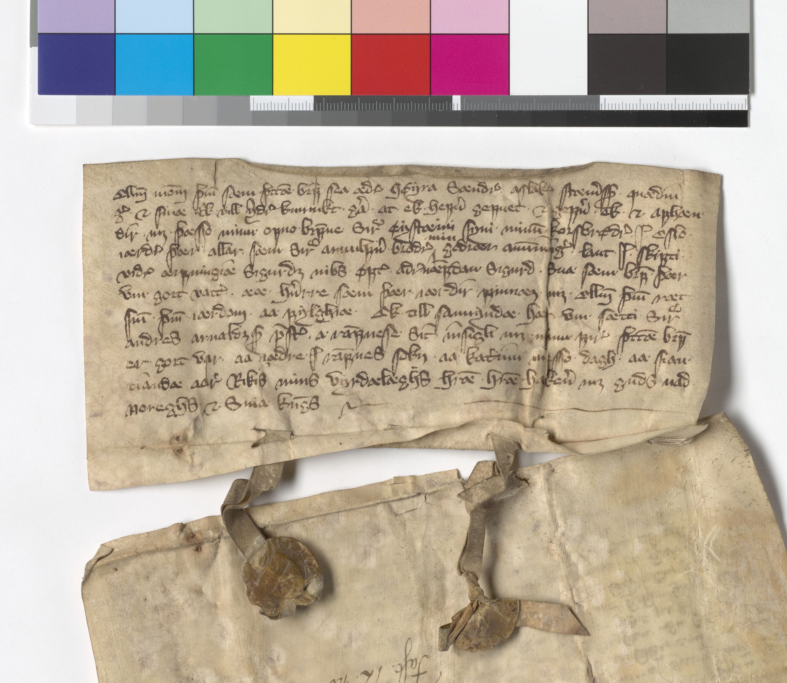 Riksarkivets diplomsamling, AV/RA-EA-5965/F05/L0176: NRA AM fasc. 72 nr. 1-8, 1371-1374, p. 3