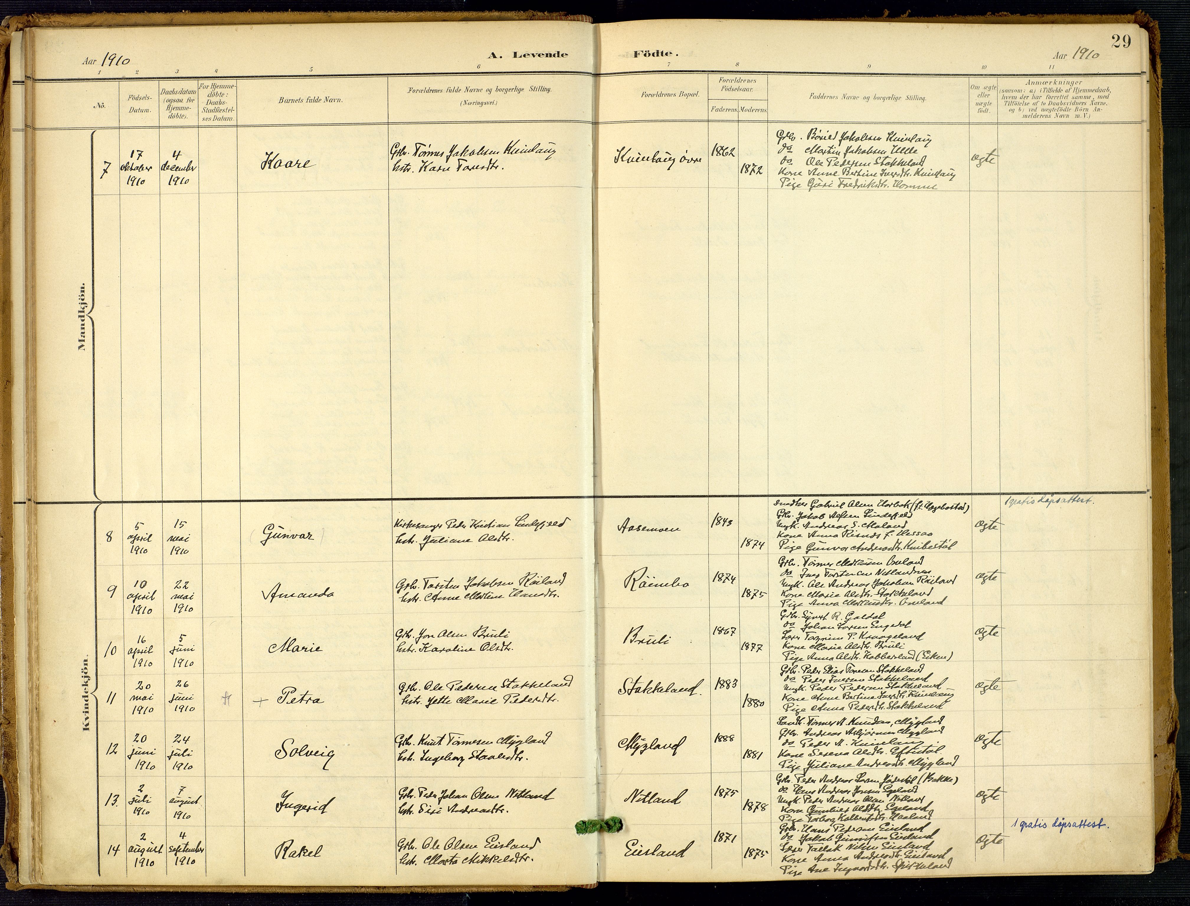 Fjotland sokneprestkontor, AV/SAK-1111-0010/F/Fa/L0003: Parish register (official) no. A 3, 1899-1917, p. 29