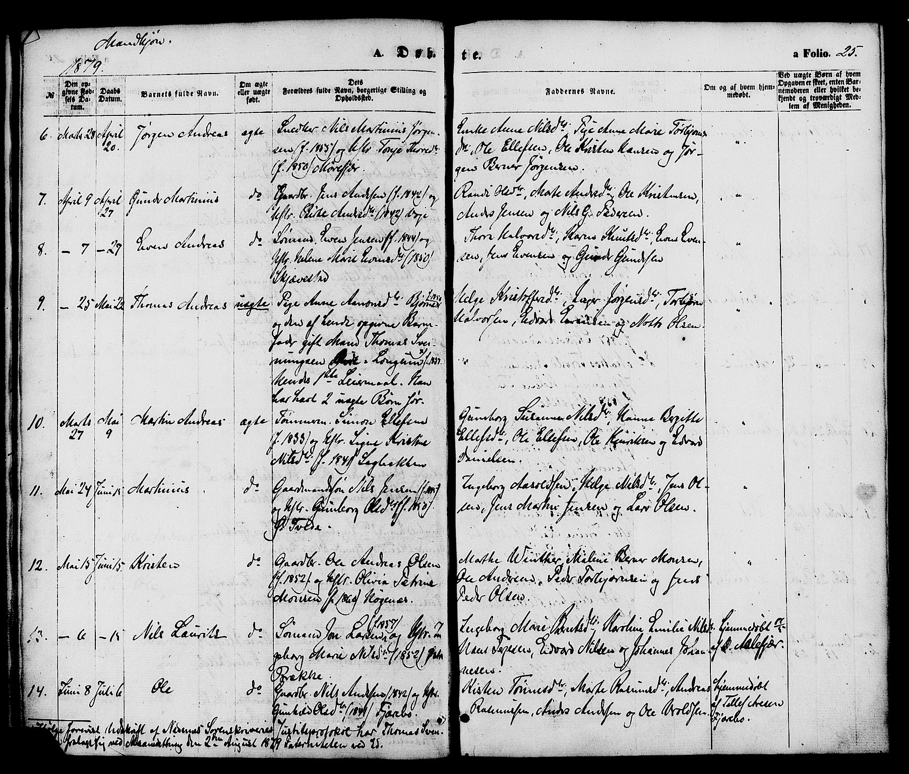 Austre Moland sokneprestkontor, AV/SAK-1111-0001/F/Fa/Faa/L0009: Parish register (official) no. A 9, 1869-1879, p. 25