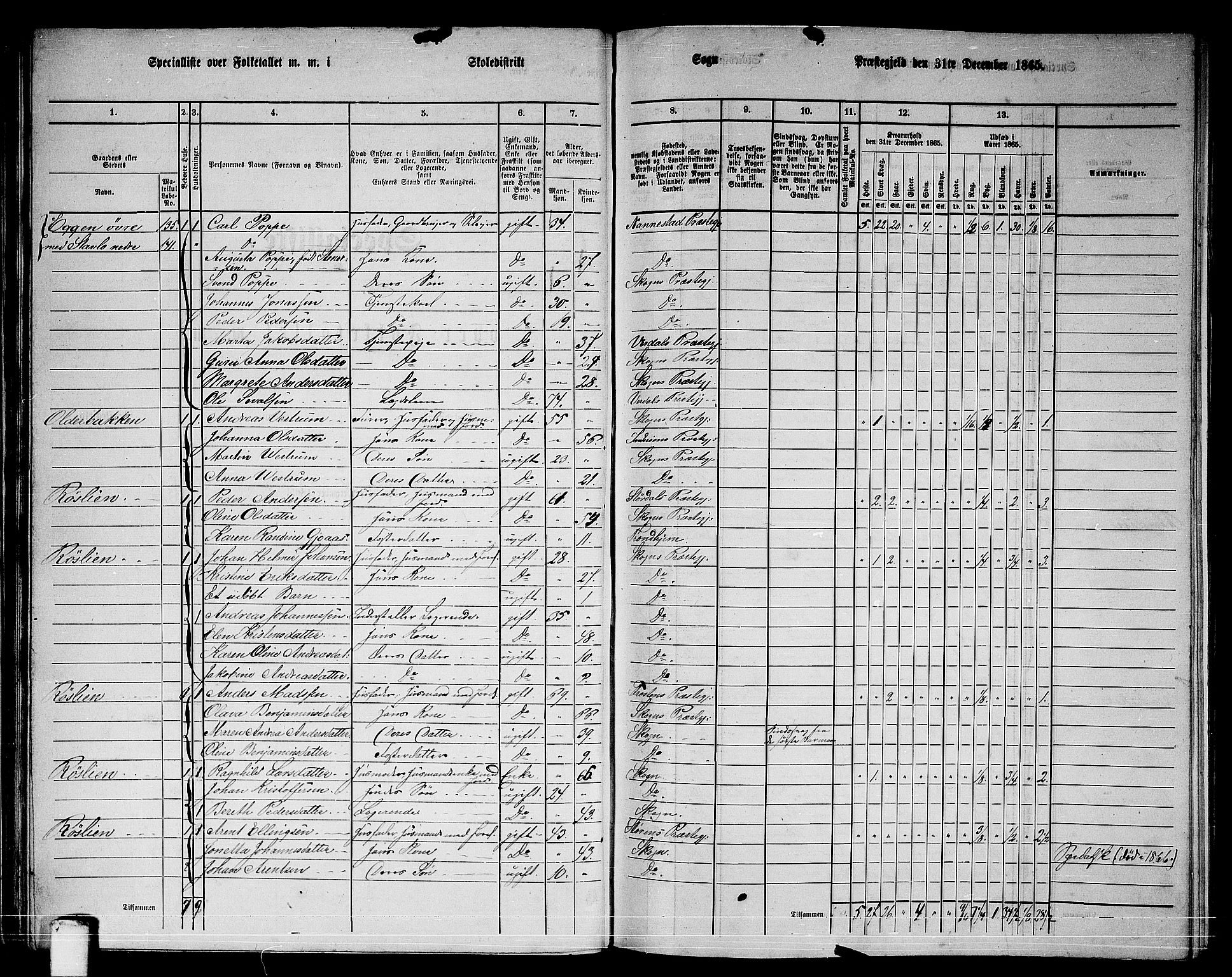 RA, 1865 census for Skogn, 1865, p. 50